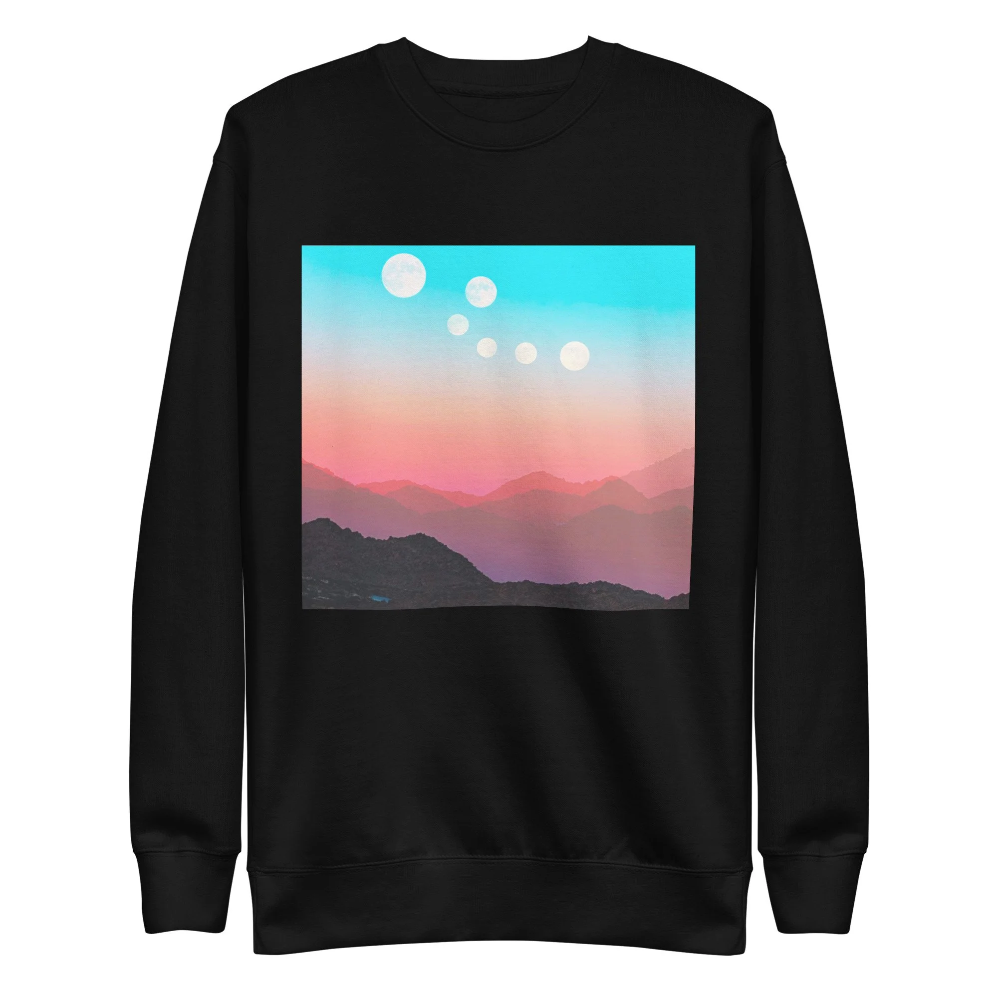unisex-premium-sweatshirt-black-front-690017730afff.jpg