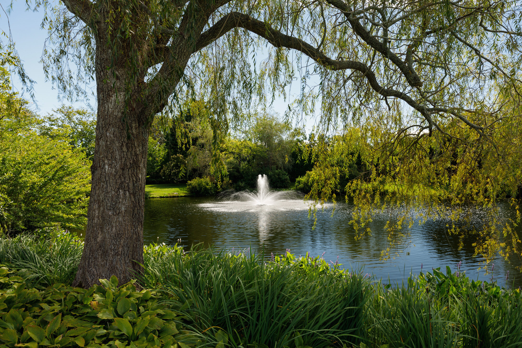 "Four Fountains"