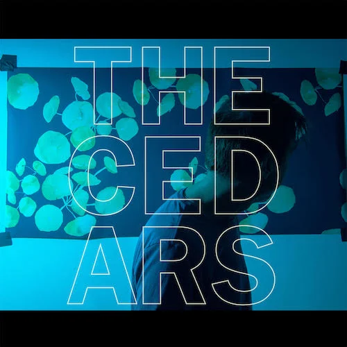 The Cedars by John Vanderslice-out today!