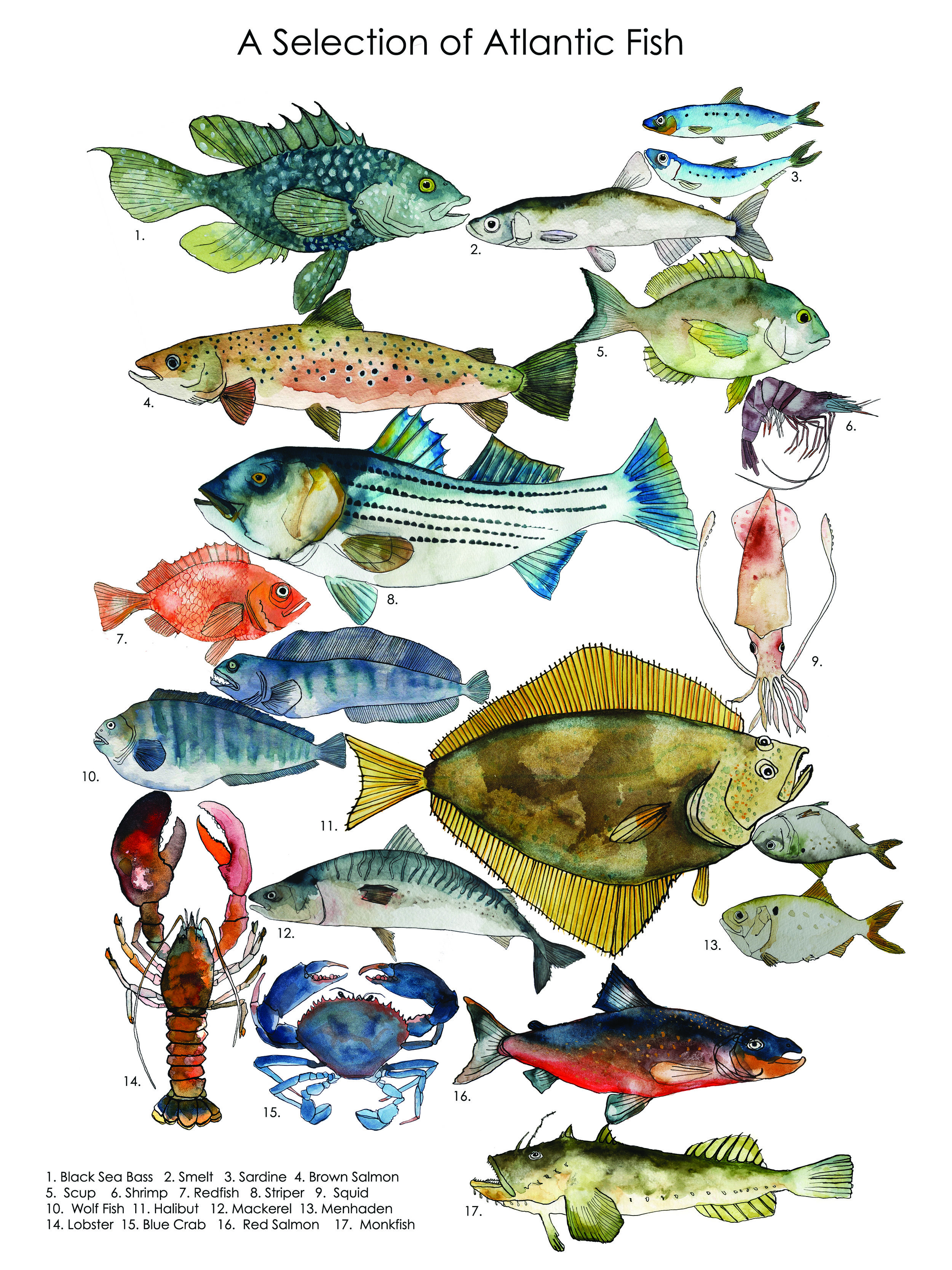 Fish Chart