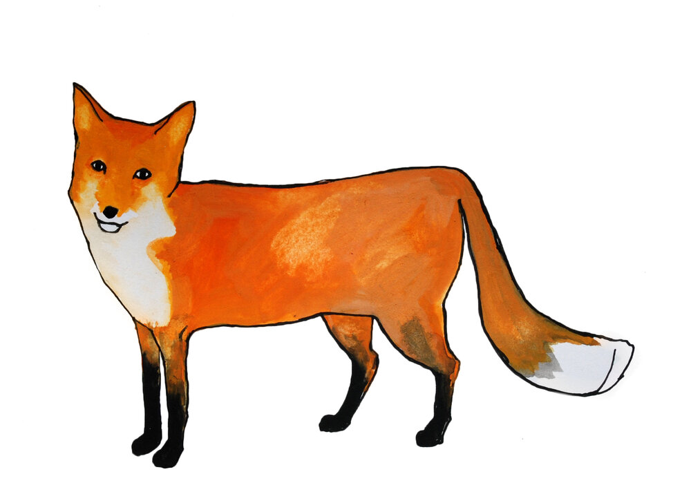 Fox — Brienne Cosman
