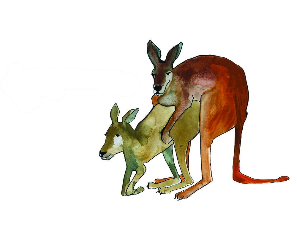 Kangaroo Love — Brienne Cosman