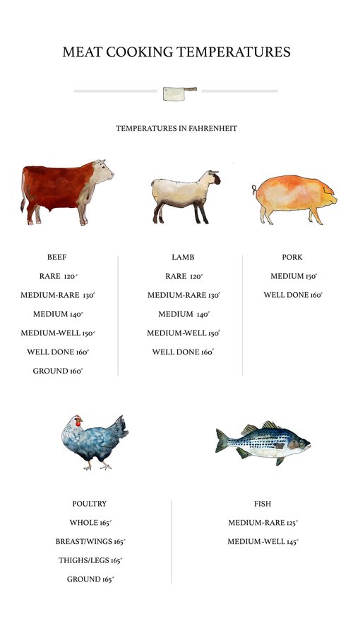 Meat Temperature Chart — Brienne Cosman
