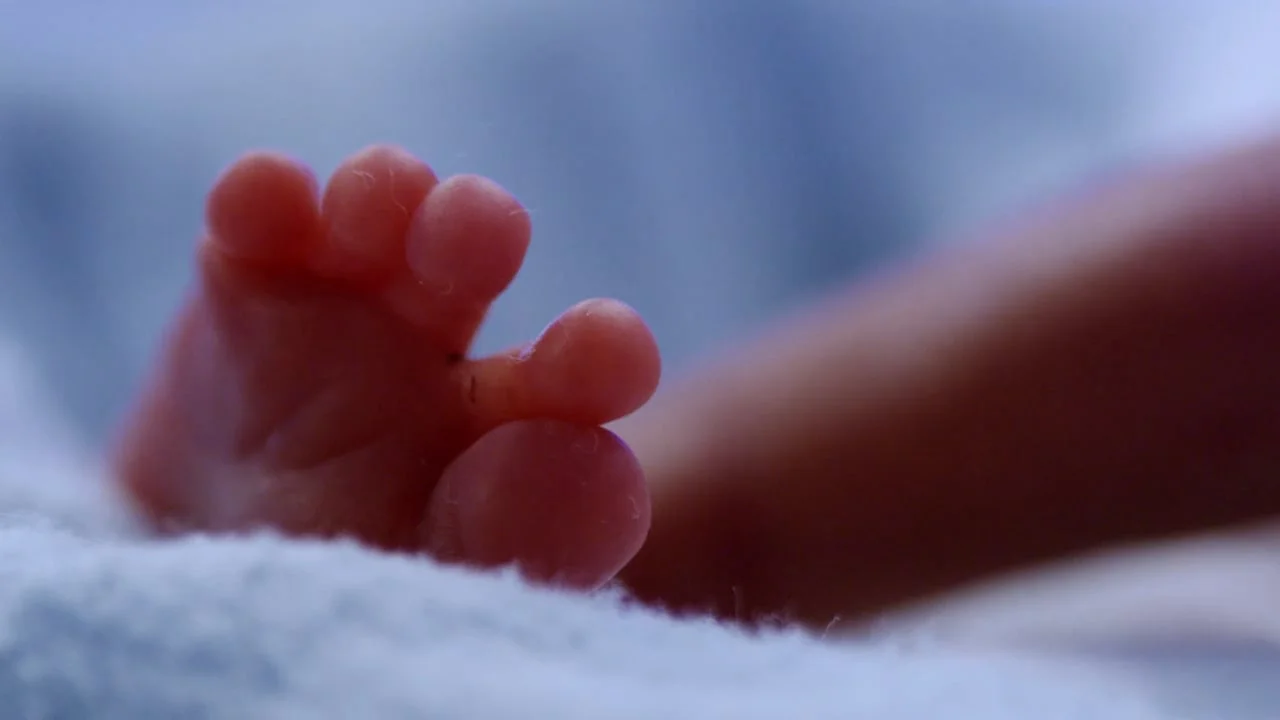 TELUS Giving Baby Francis a Chance