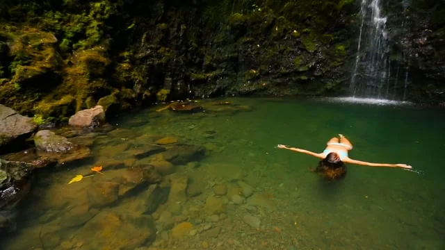 Swim | Drink | Fish | Canada