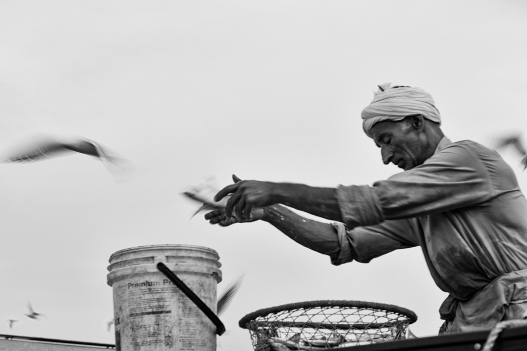 "Catch of the day" - Dubai, UAE