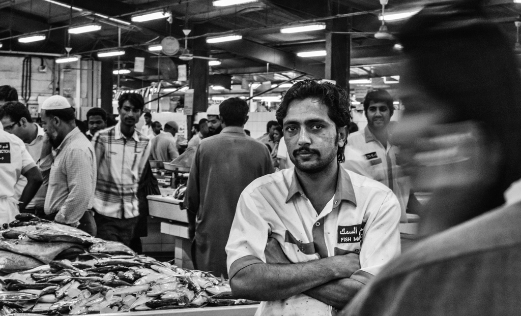 "Fish Market Stare" - Dubai, UAE
