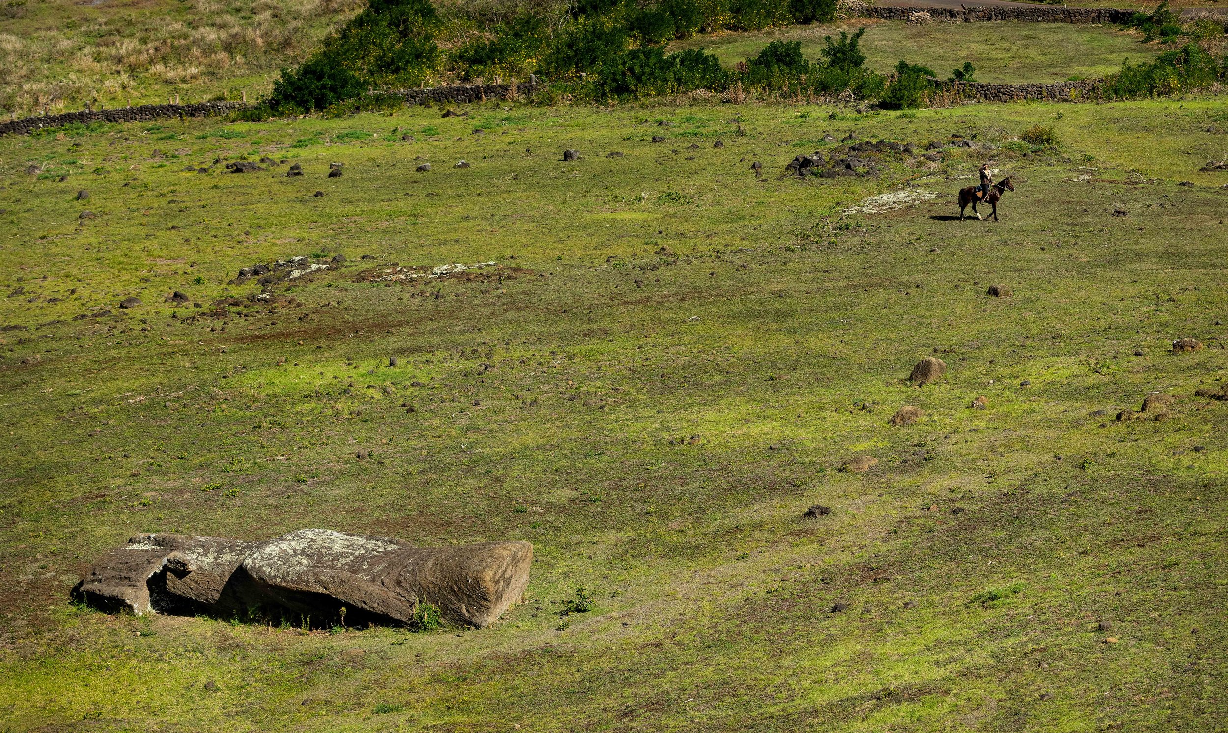 20180415_easter_island_&_patagonia_0606-Edit-Edit.jpg