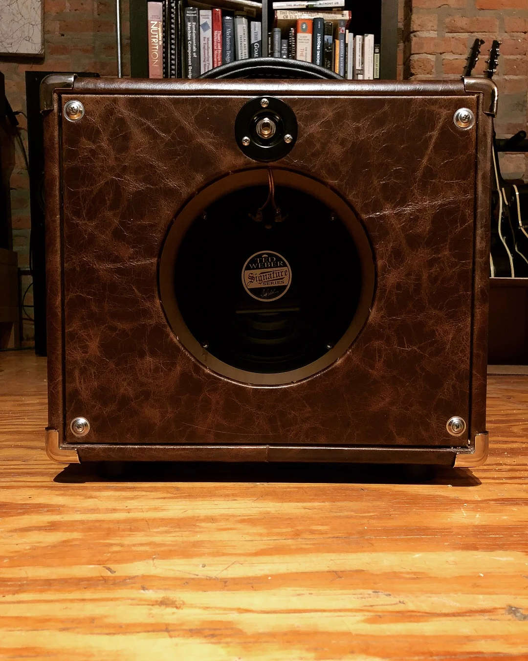  1x8” extension cabinet in distressed coyote leather. 