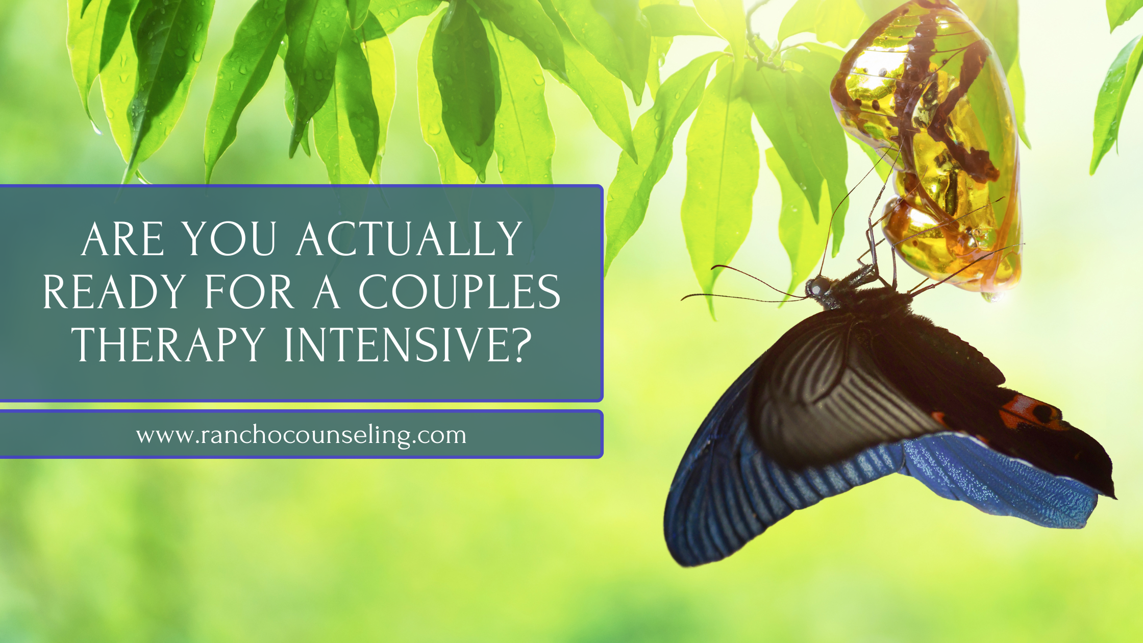 Are You Actually Ready for a Couples Therapy Intensive?
