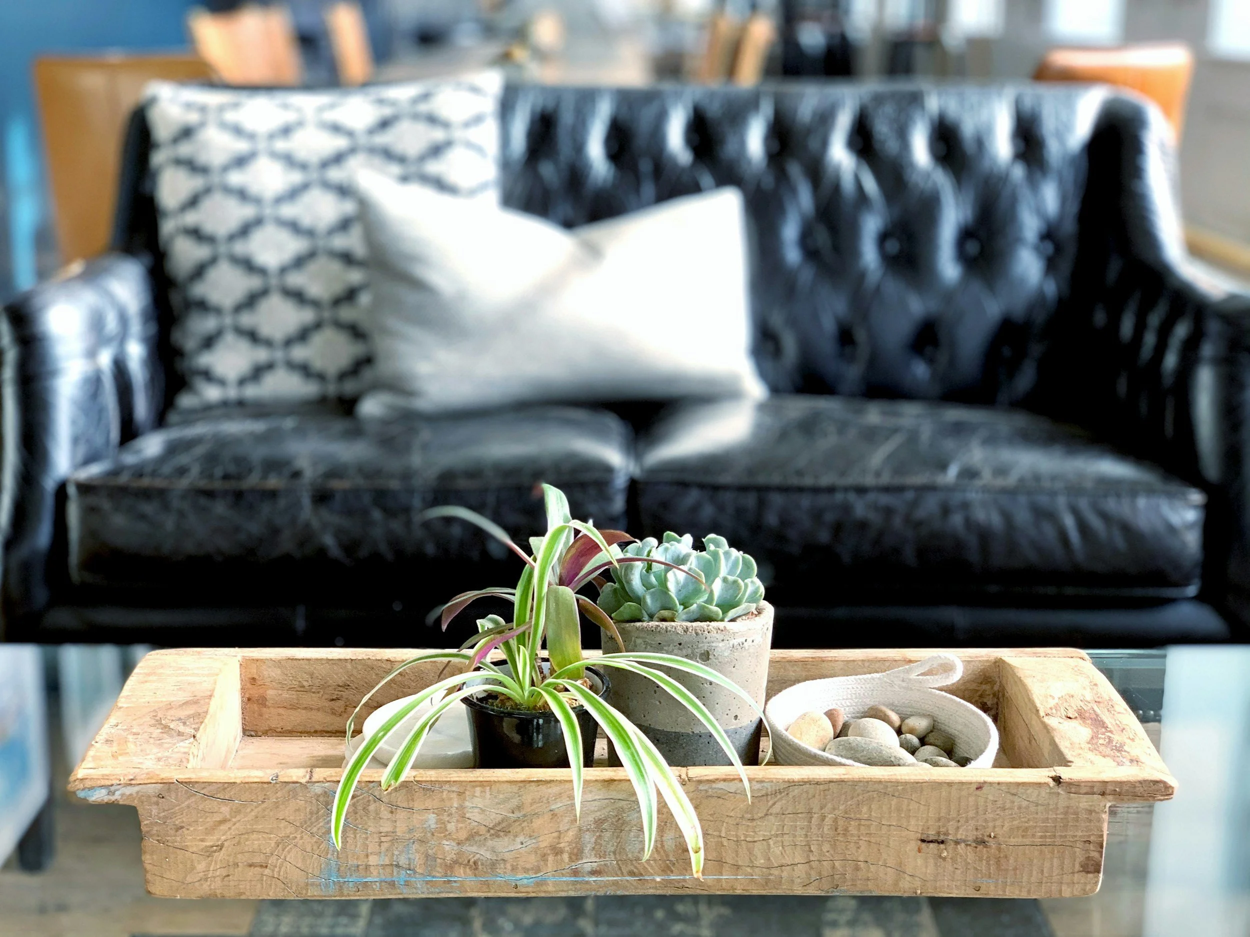a black leather couch in the background with a tray on a table in the foreground with succulents on it signifying individual therapy intensives