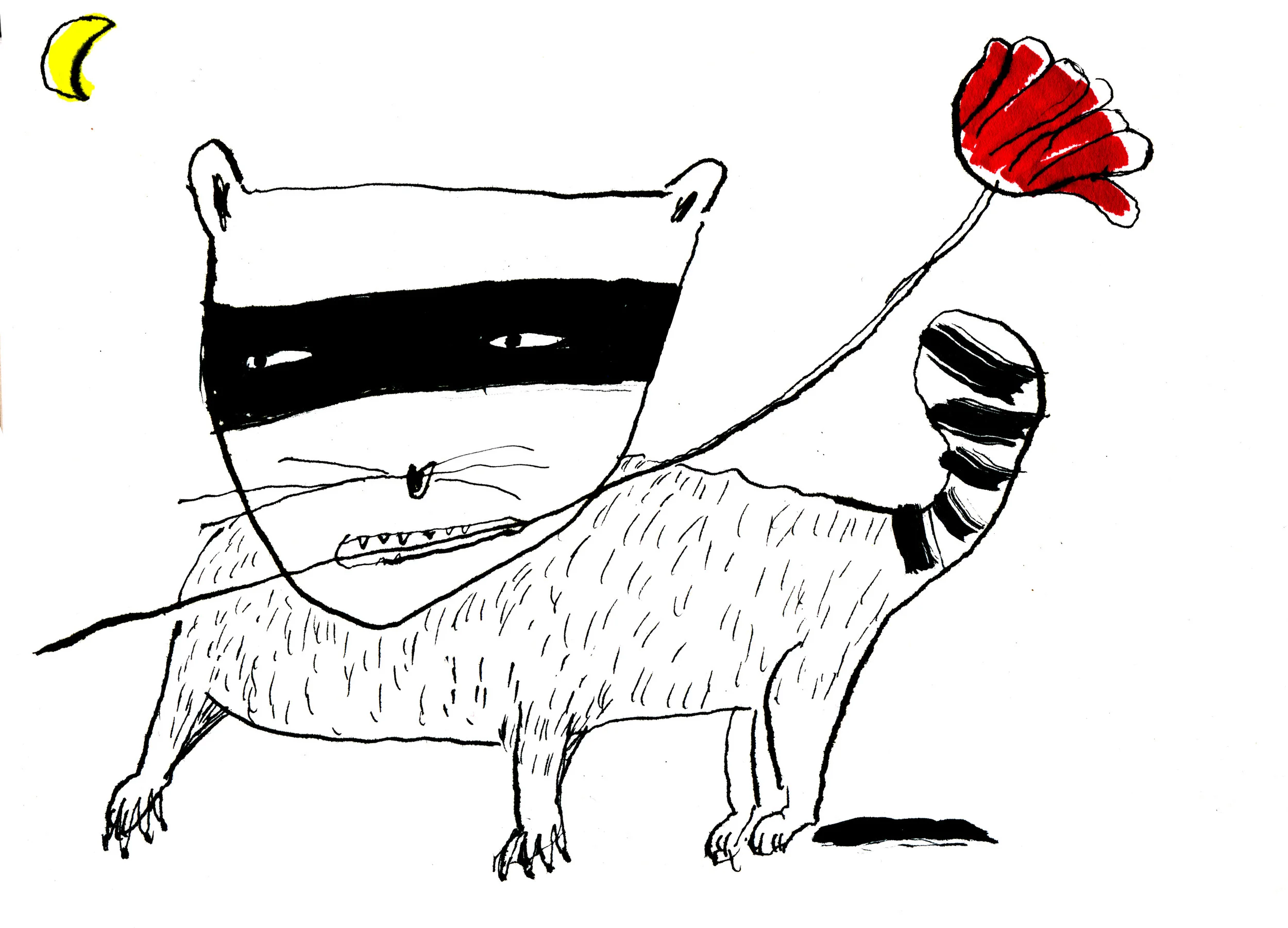 FACTS_racoonFINAL.jpg