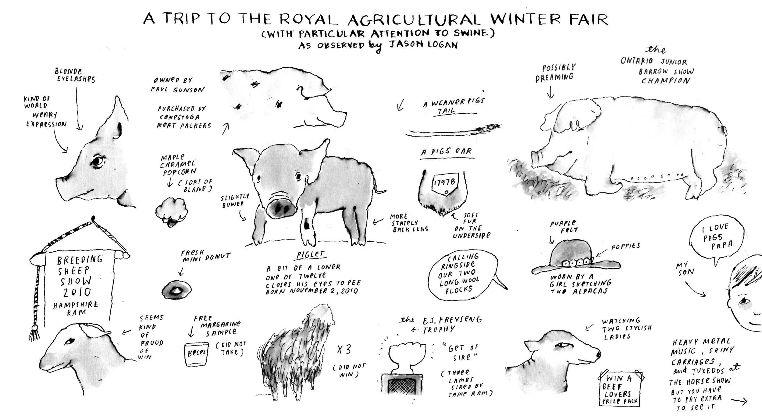 ROYALWINTERFAIR_FINAL.jpg