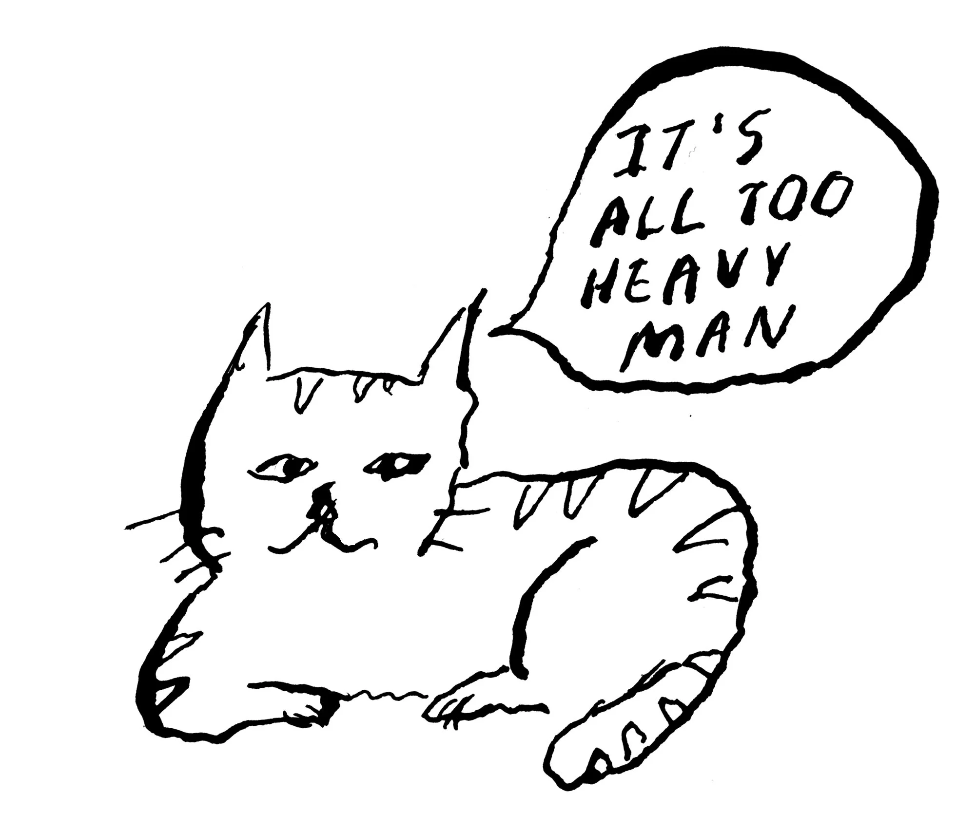 catFINAL.jpg