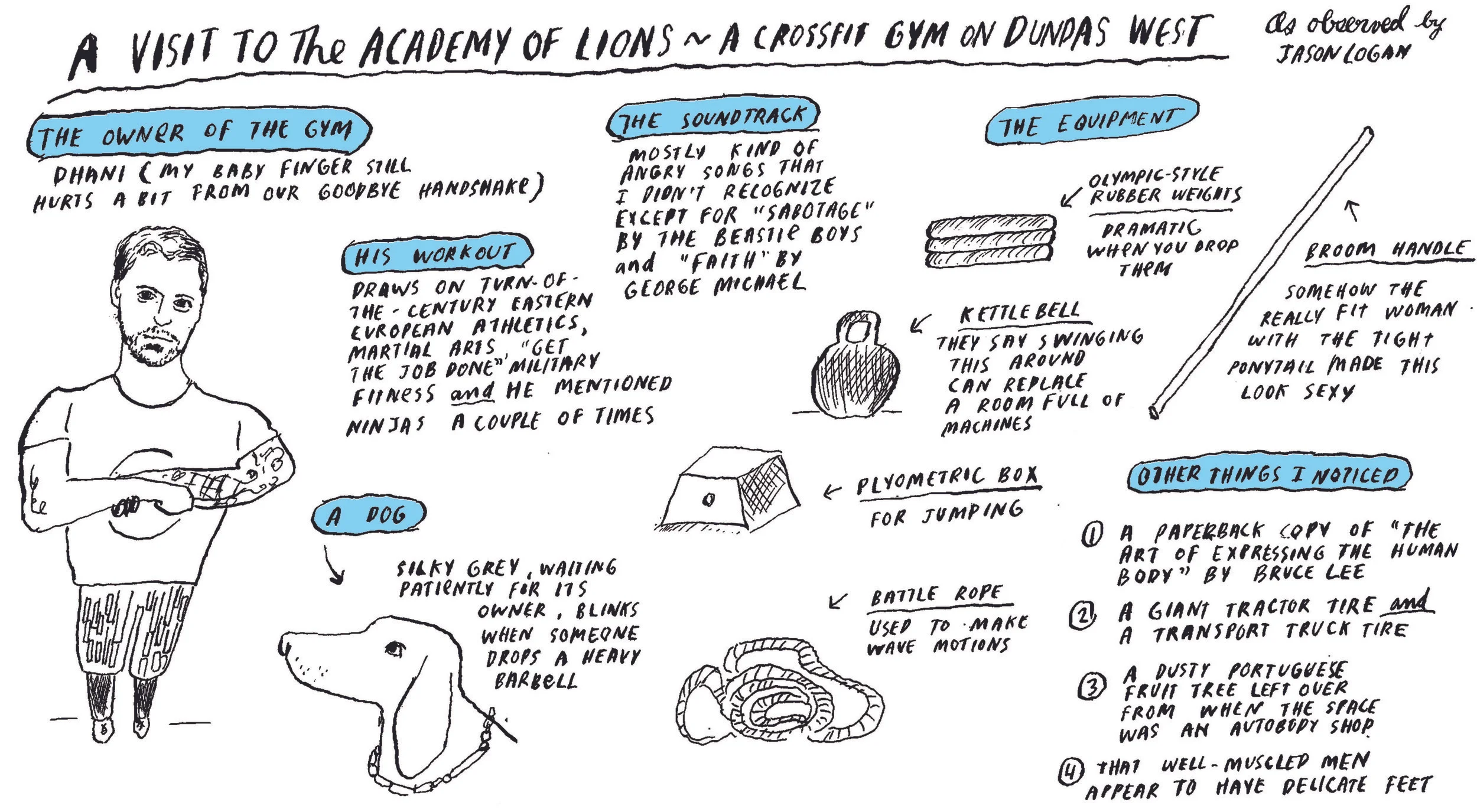 academy of lionsEDIT.jpg