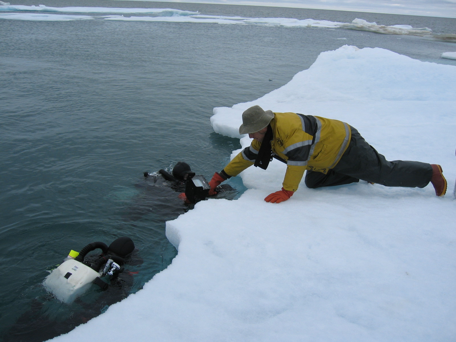 Underwater cinematographer Chuck Davis and his team braved the arctic waters.