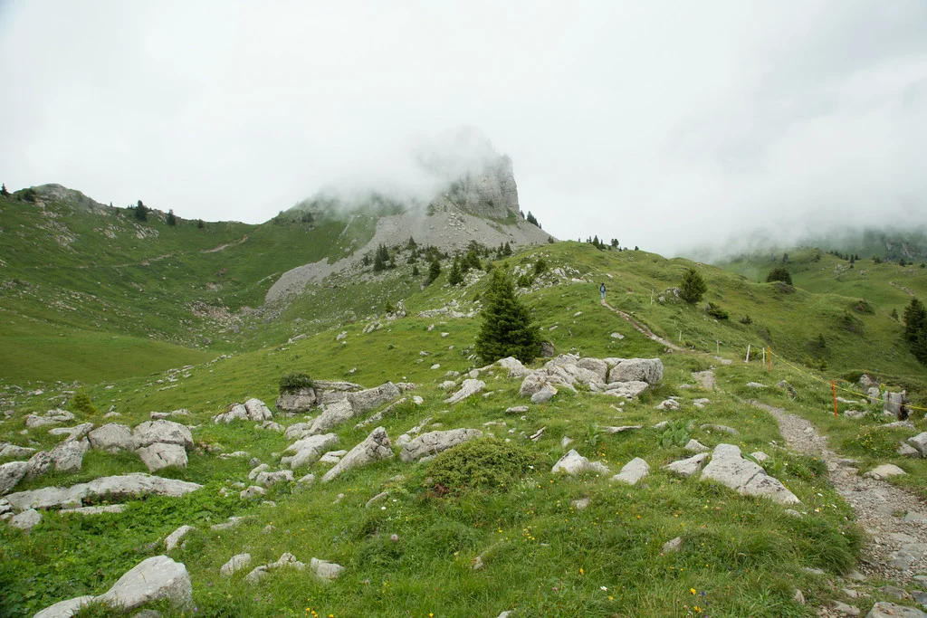 Schynige Platte: ever-changing through those gusts of fog