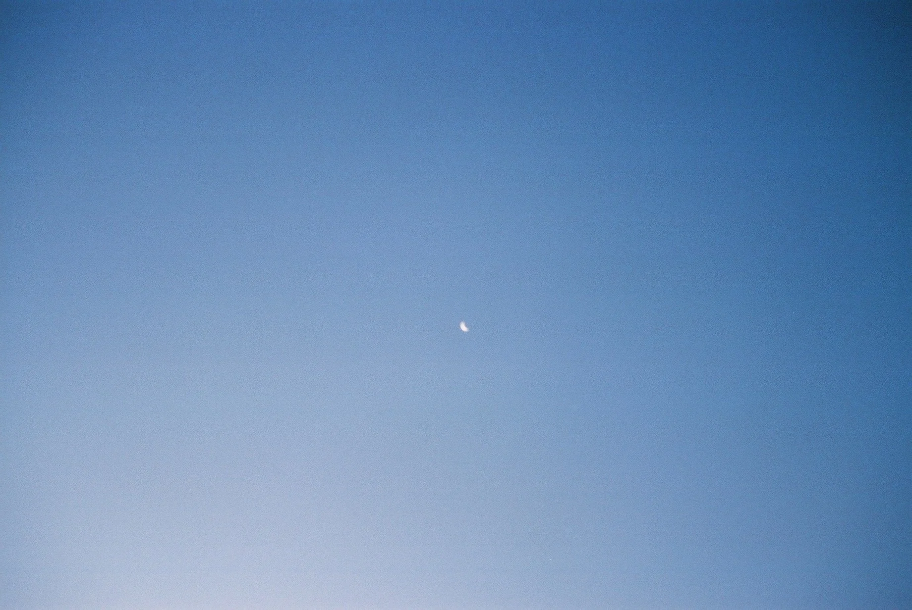 F1020010.JPG
