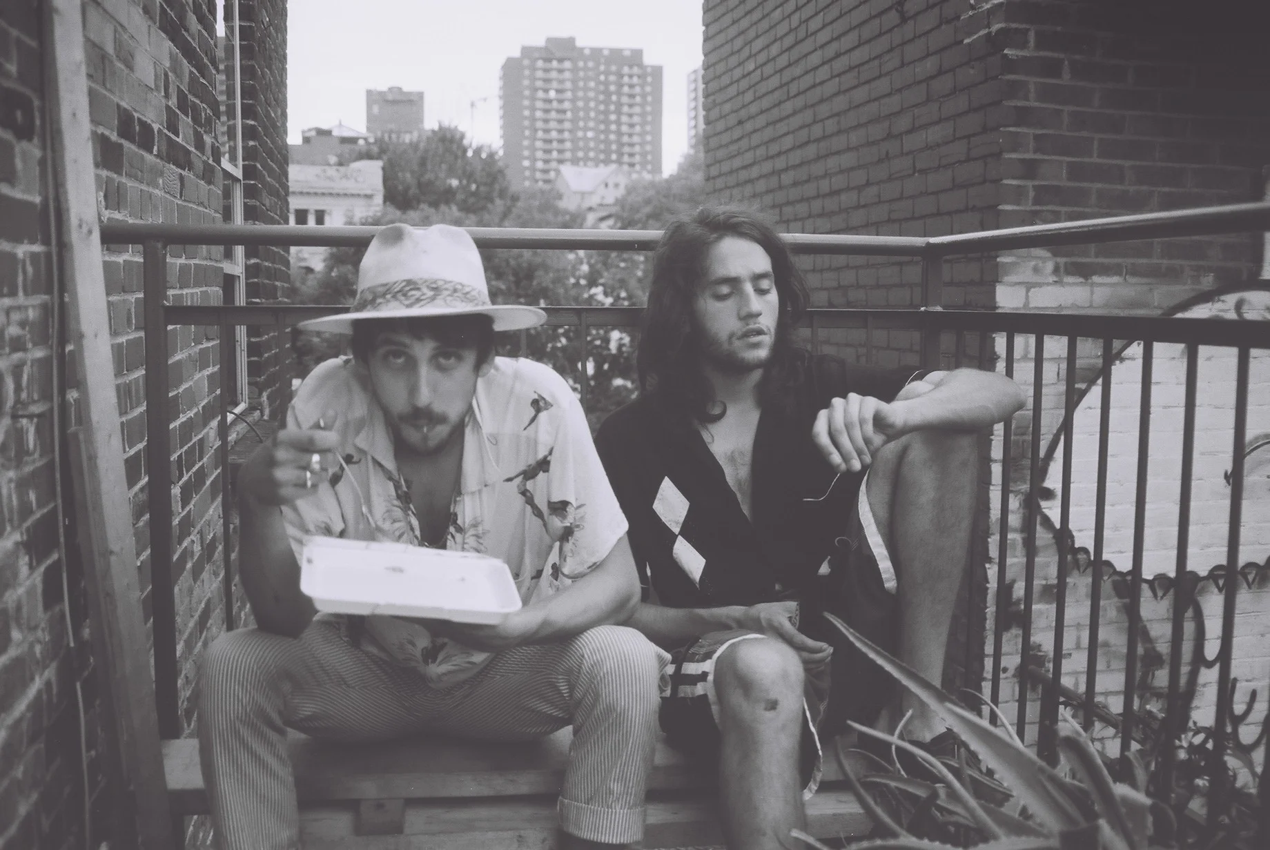   Spectre, Montreal, 2013.  