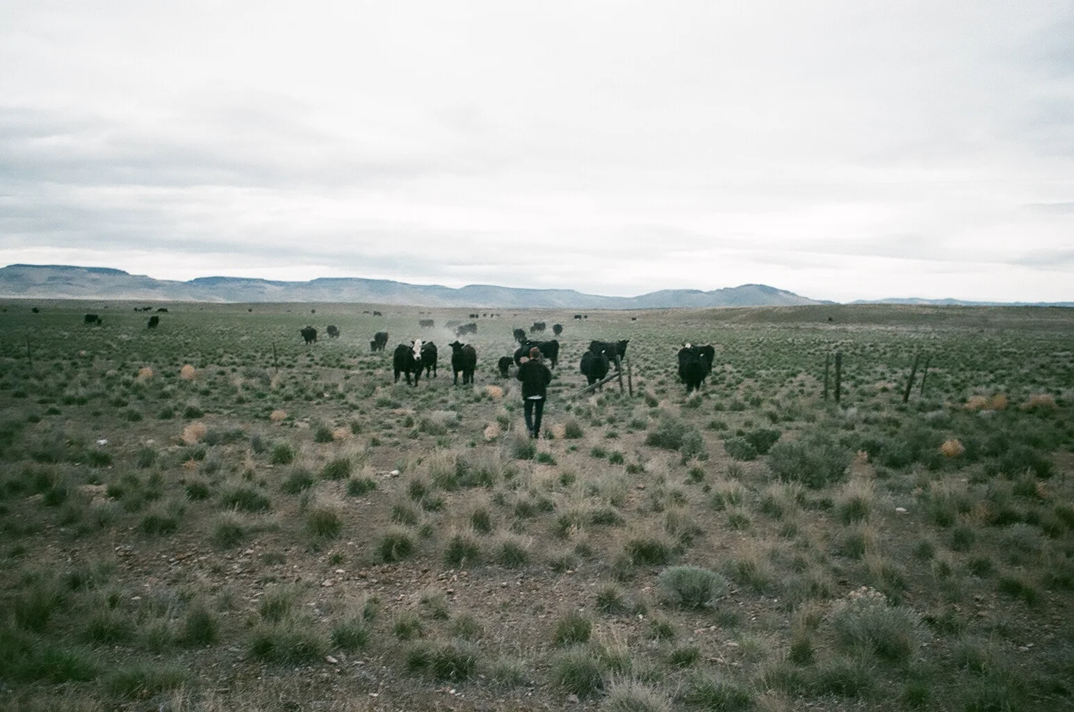 A Voyage To Burgerama with Cotillon : Impose Magazine