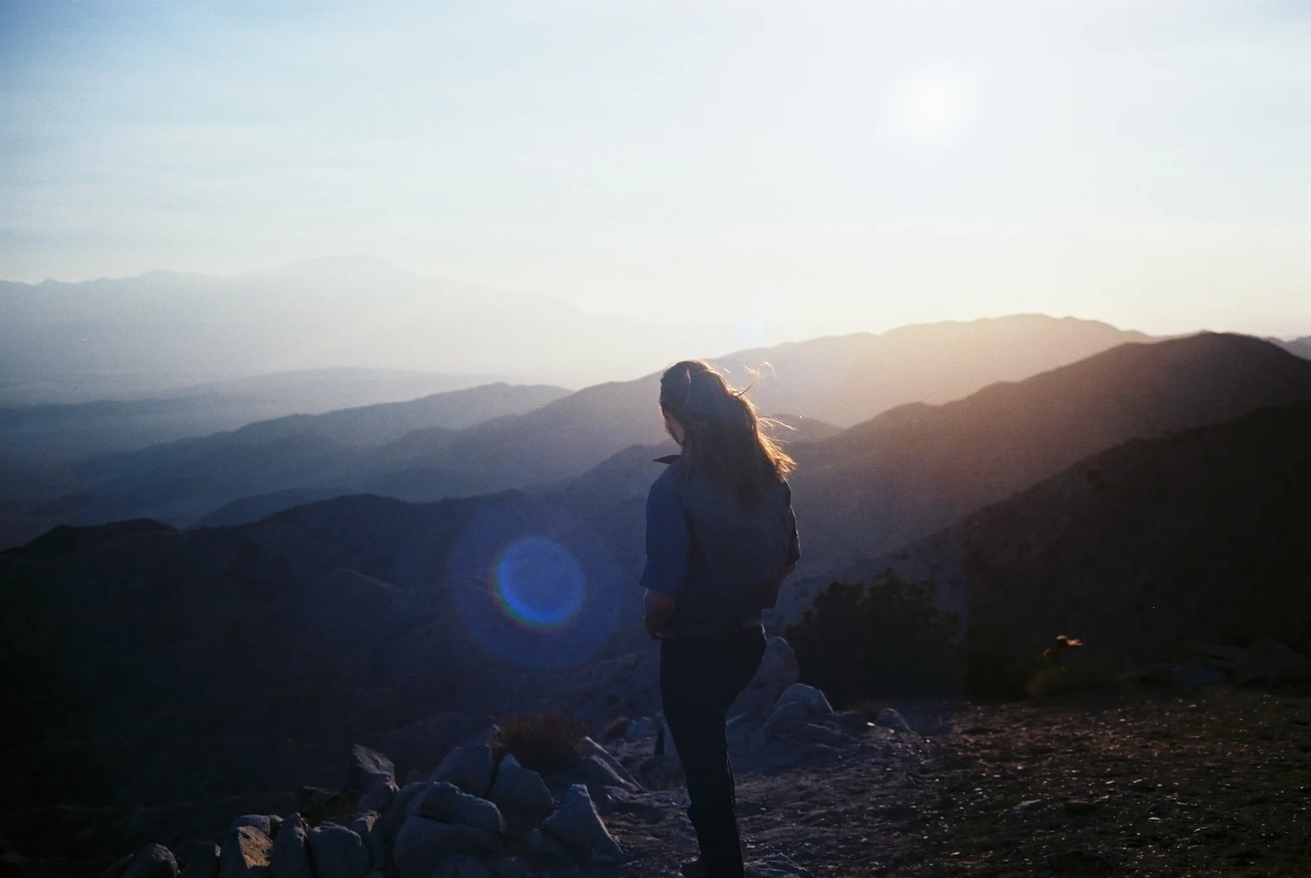   Quilt, Joshua Tree, 2014.   