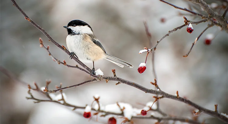 The #1 Reason to Sell Now… Not Next Spring