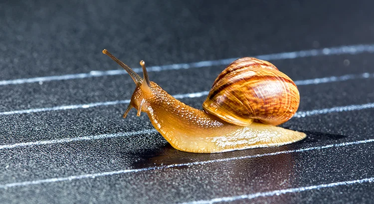  Lack of Homes for Sale Slowing Down the Housing Market