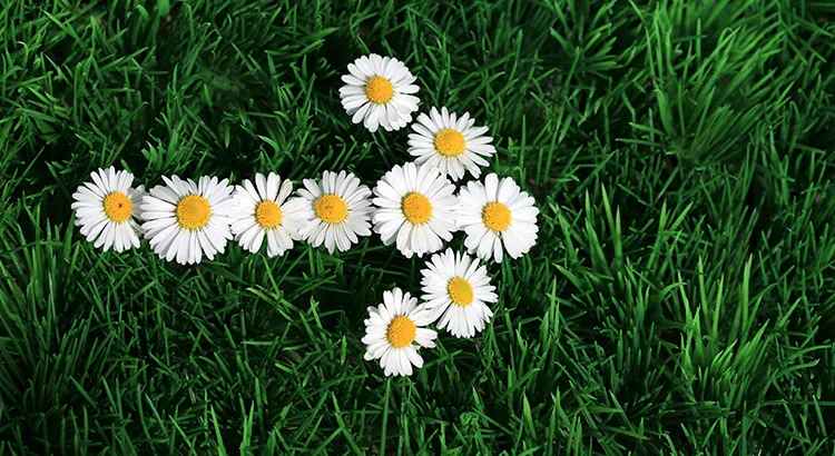 Housing Market Expected to “Spring Forward”