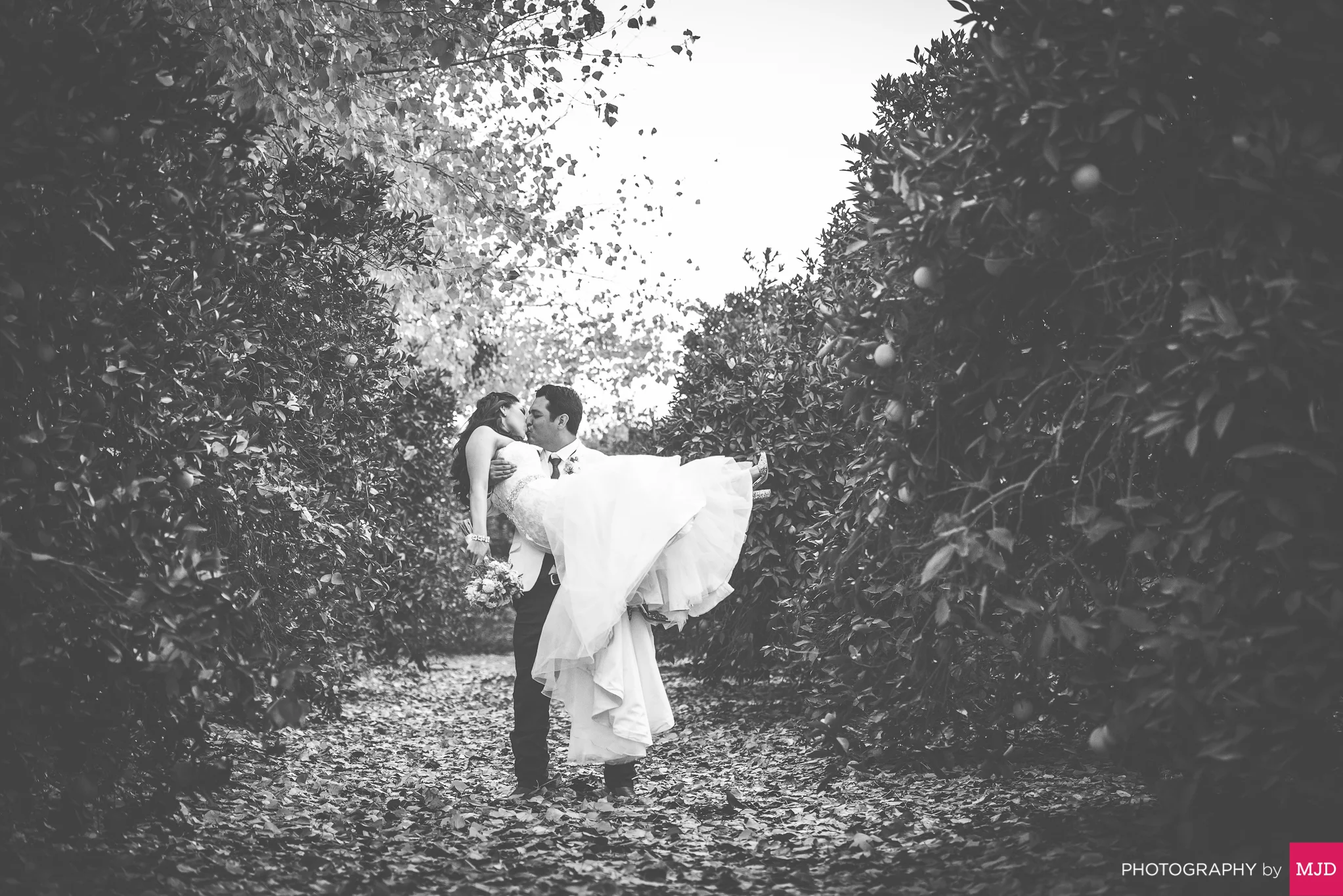Wedding_PhotographybyMJD-25.jpg