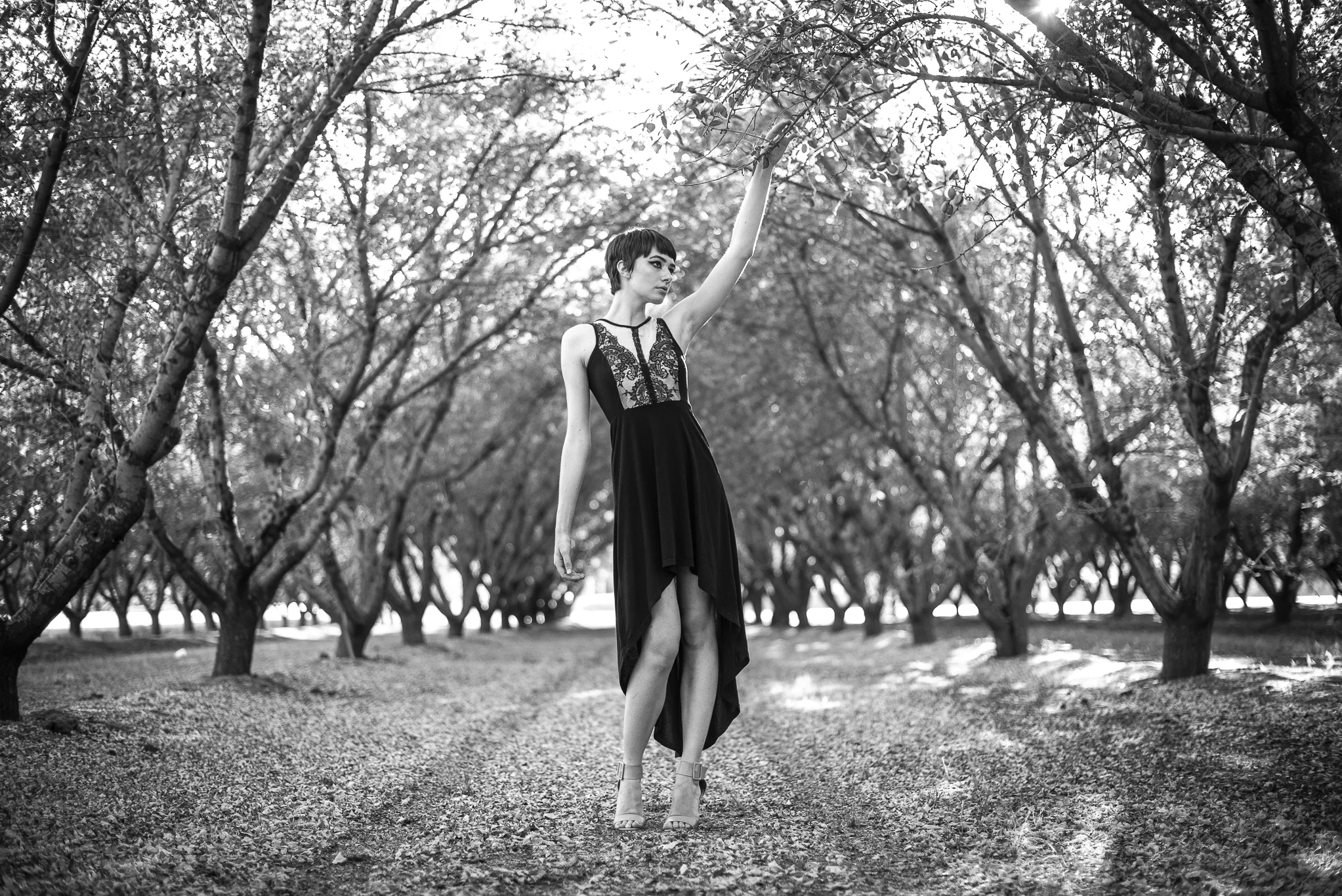 PhotographybyMJD-59.jpg