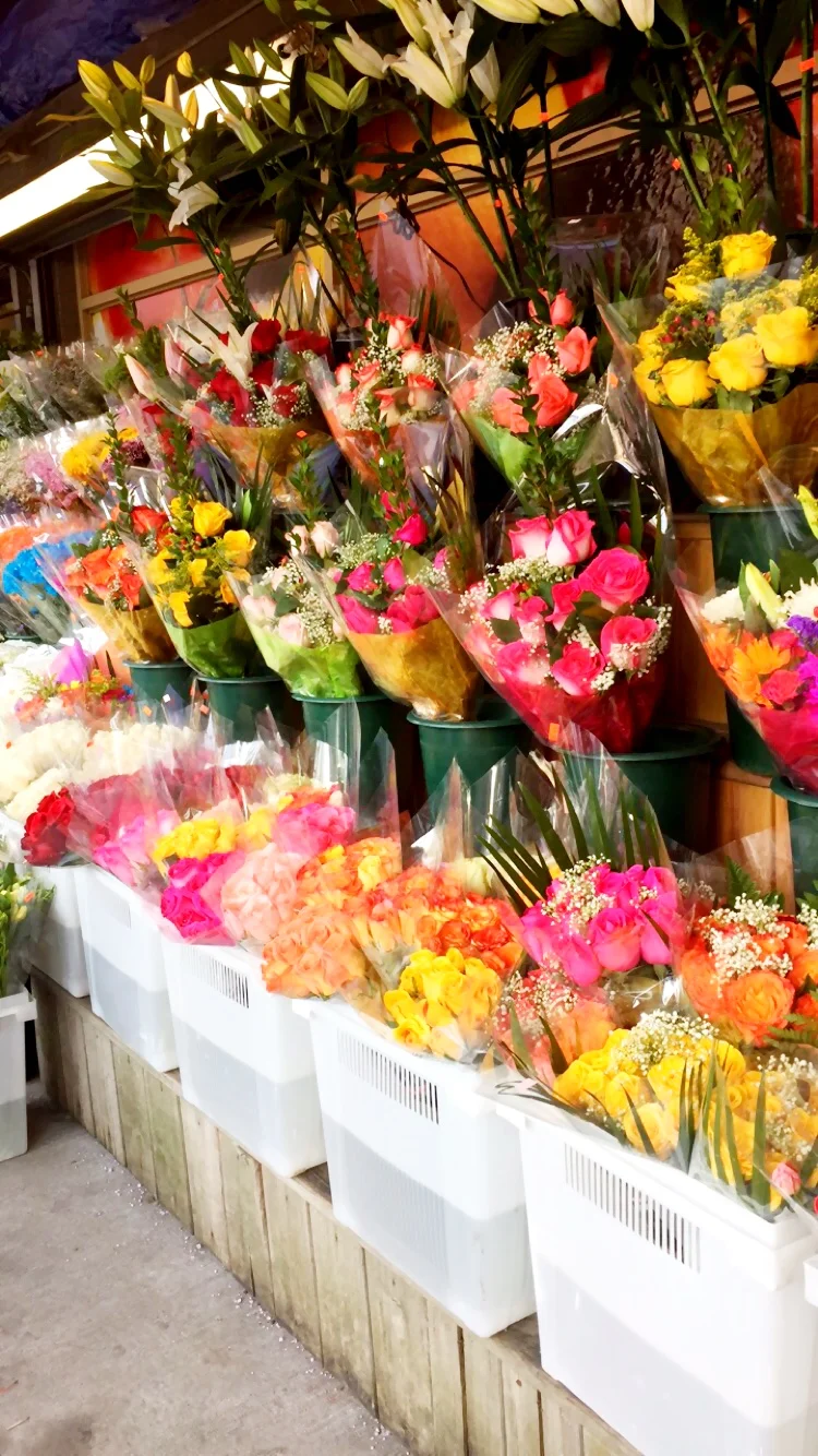 West Village / New York City / March / 2015