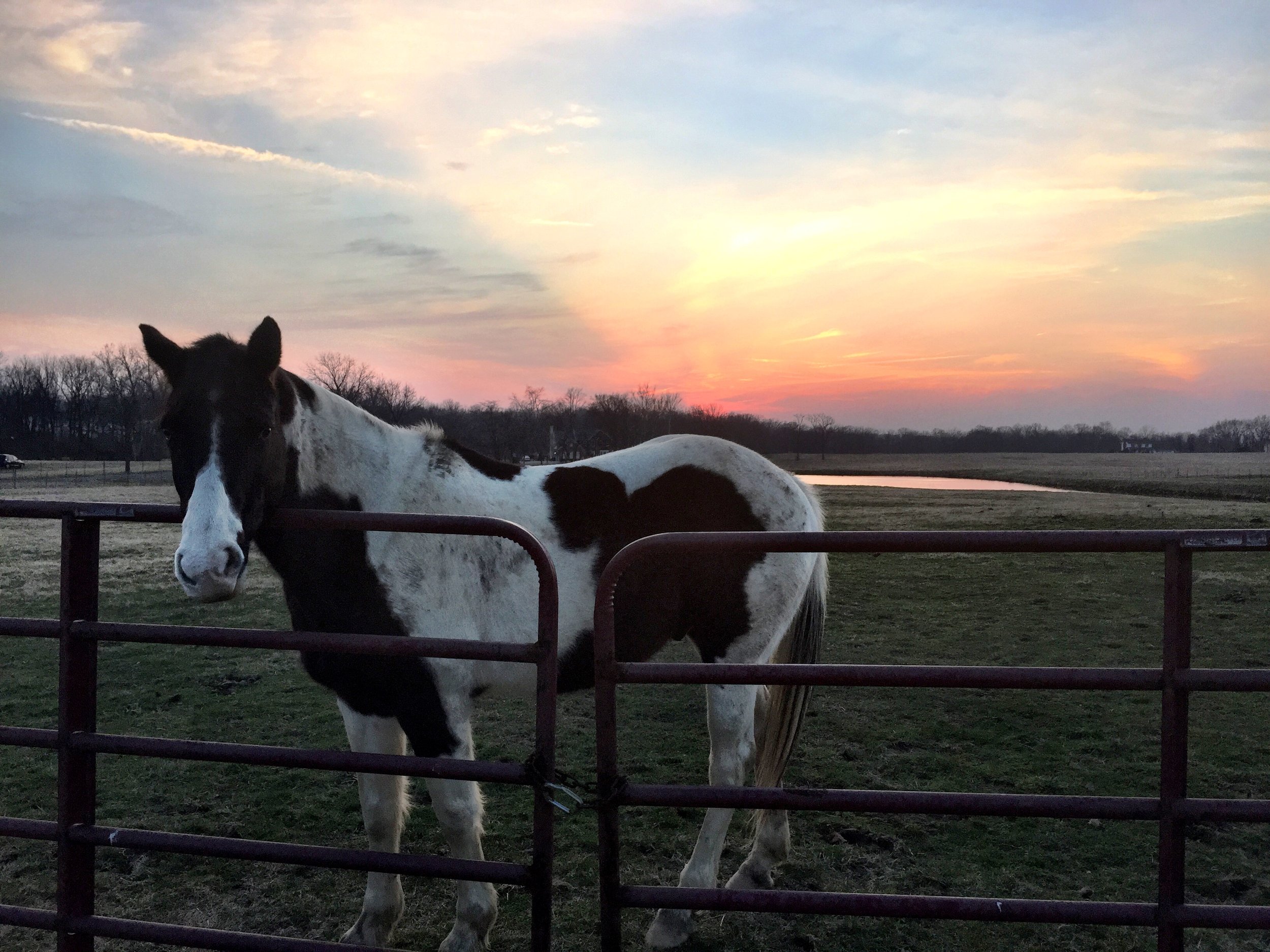 Liberty / OH / March / 2015