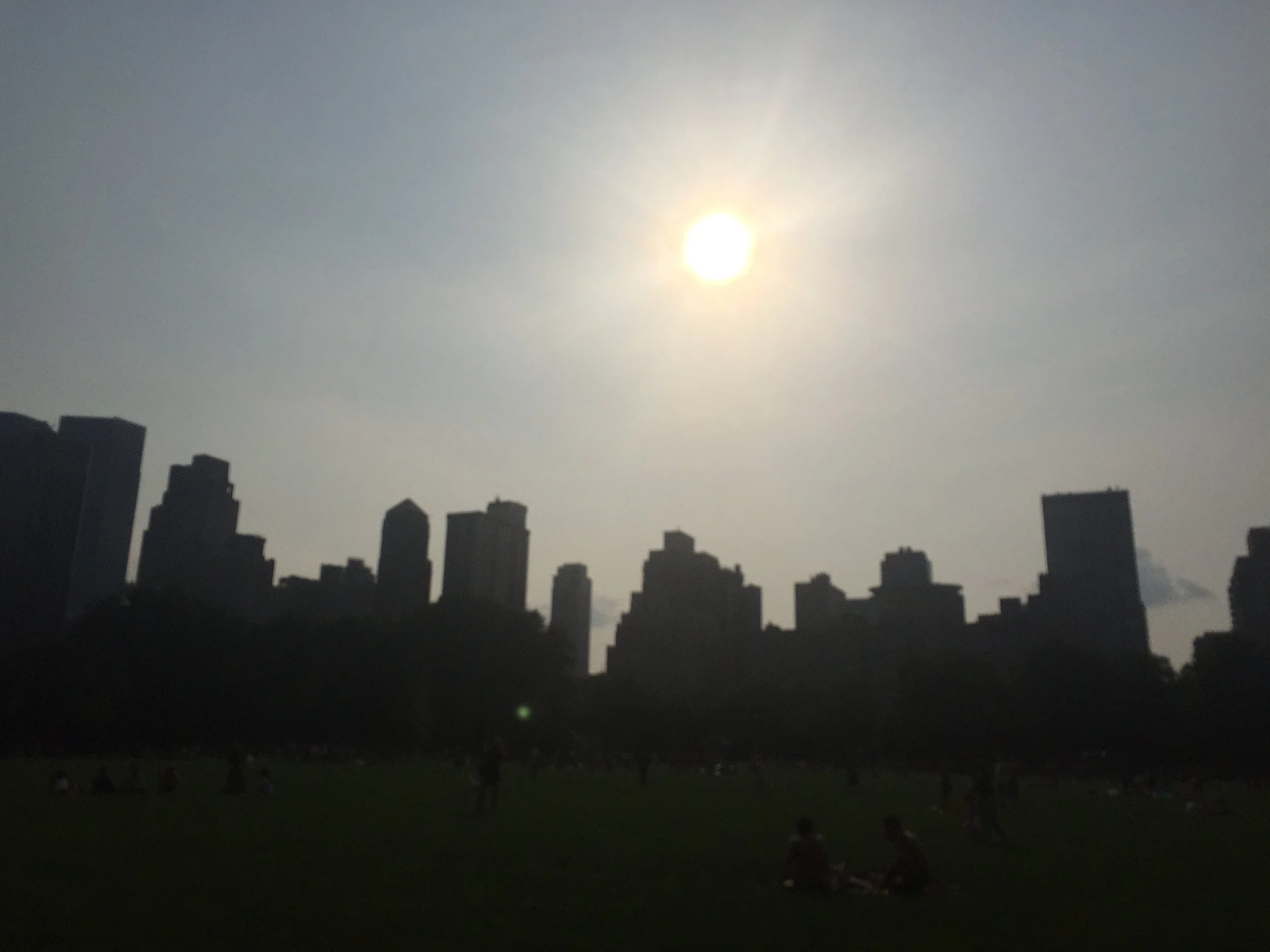 Sheep's Meadow / New York City / July / 2015