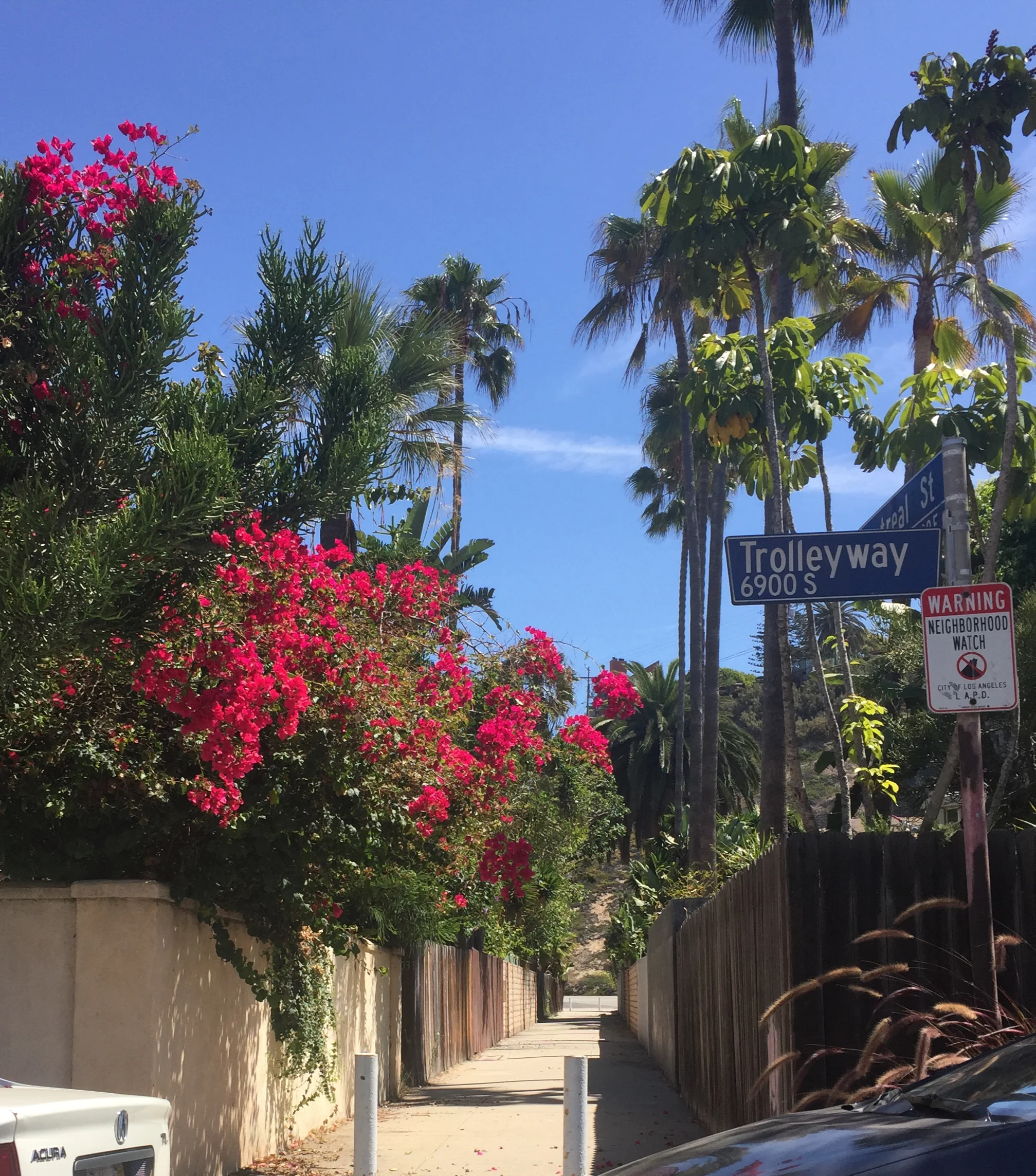 Playa Del Rey / CA / August / 2015