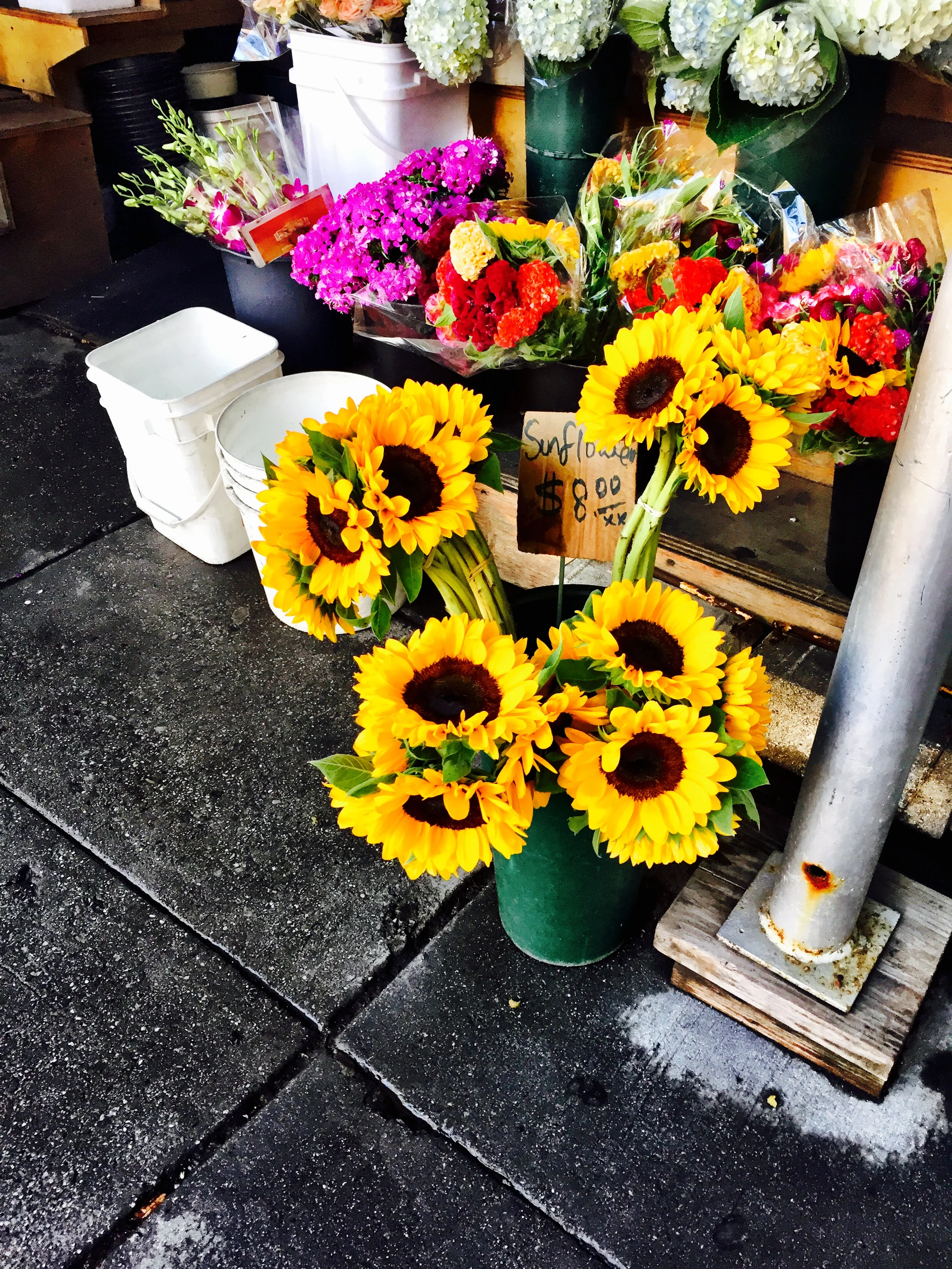 Meatpacking District / New York City / August / 2015