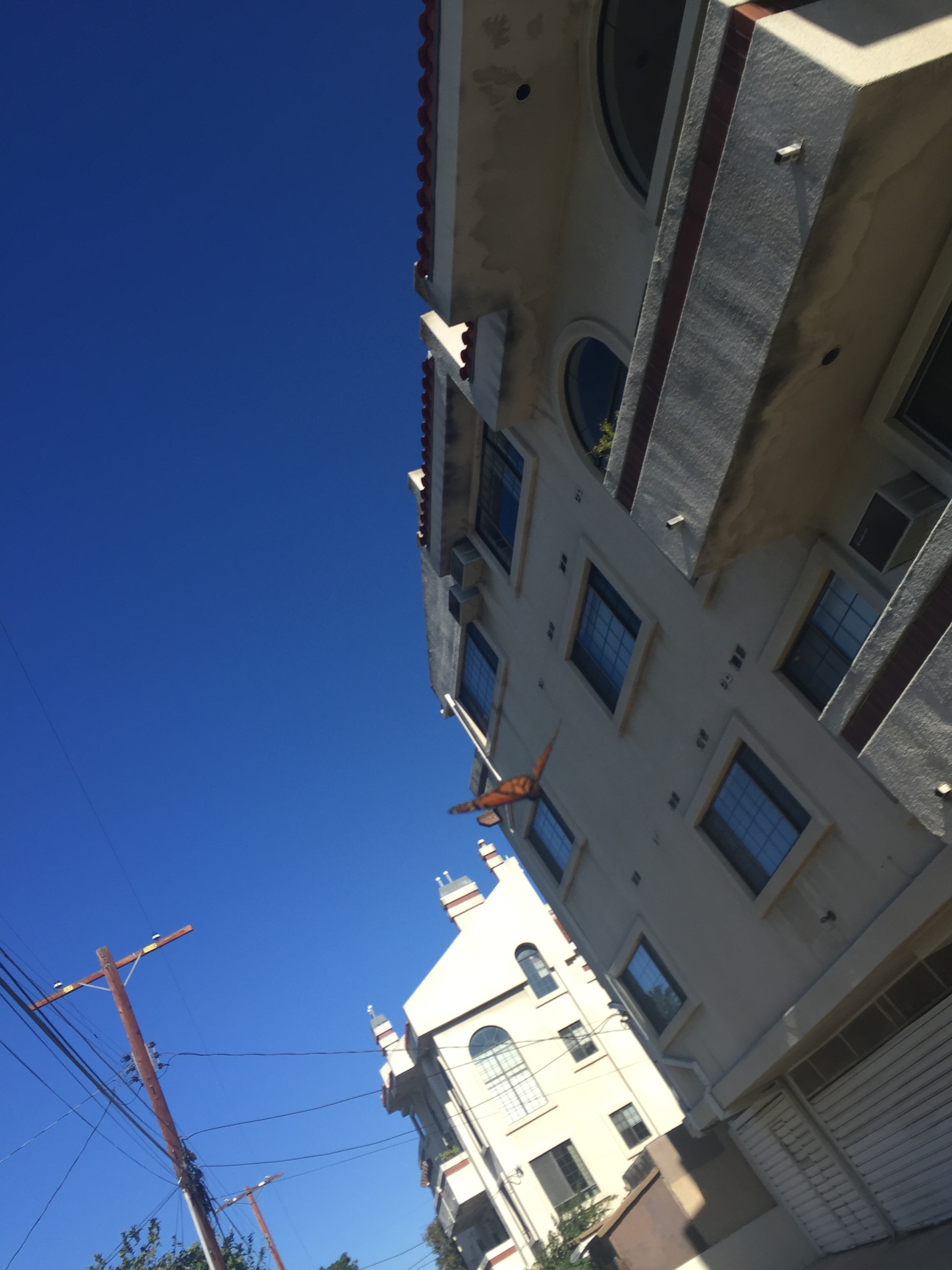 Mar Vista / CA / November / 2015