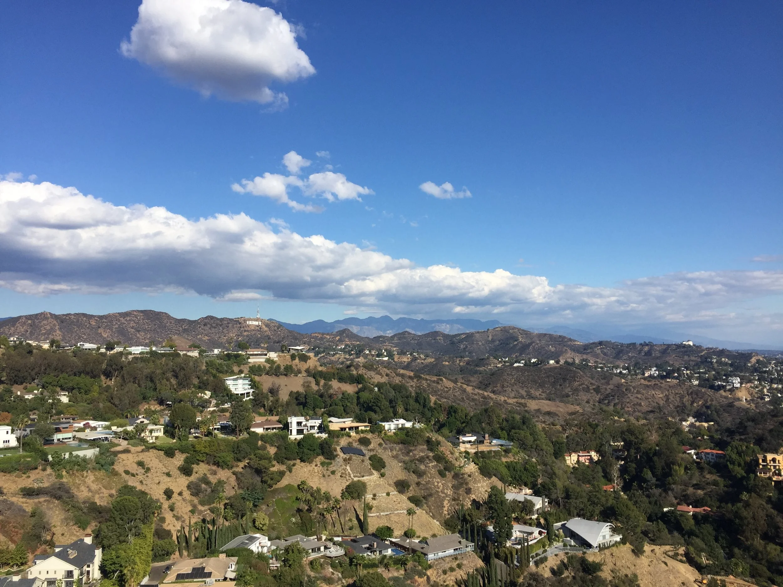 Runyon Canyon / West Hollywood / CA / November / 2015