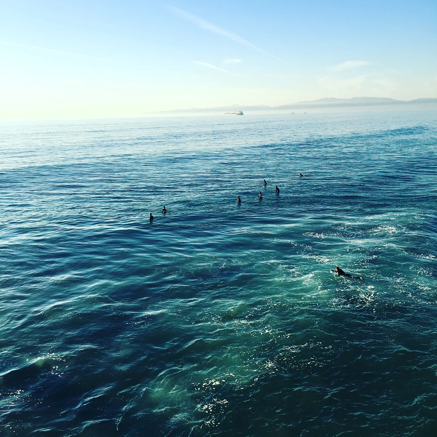 Manhattan Beach / CA / February / 2016