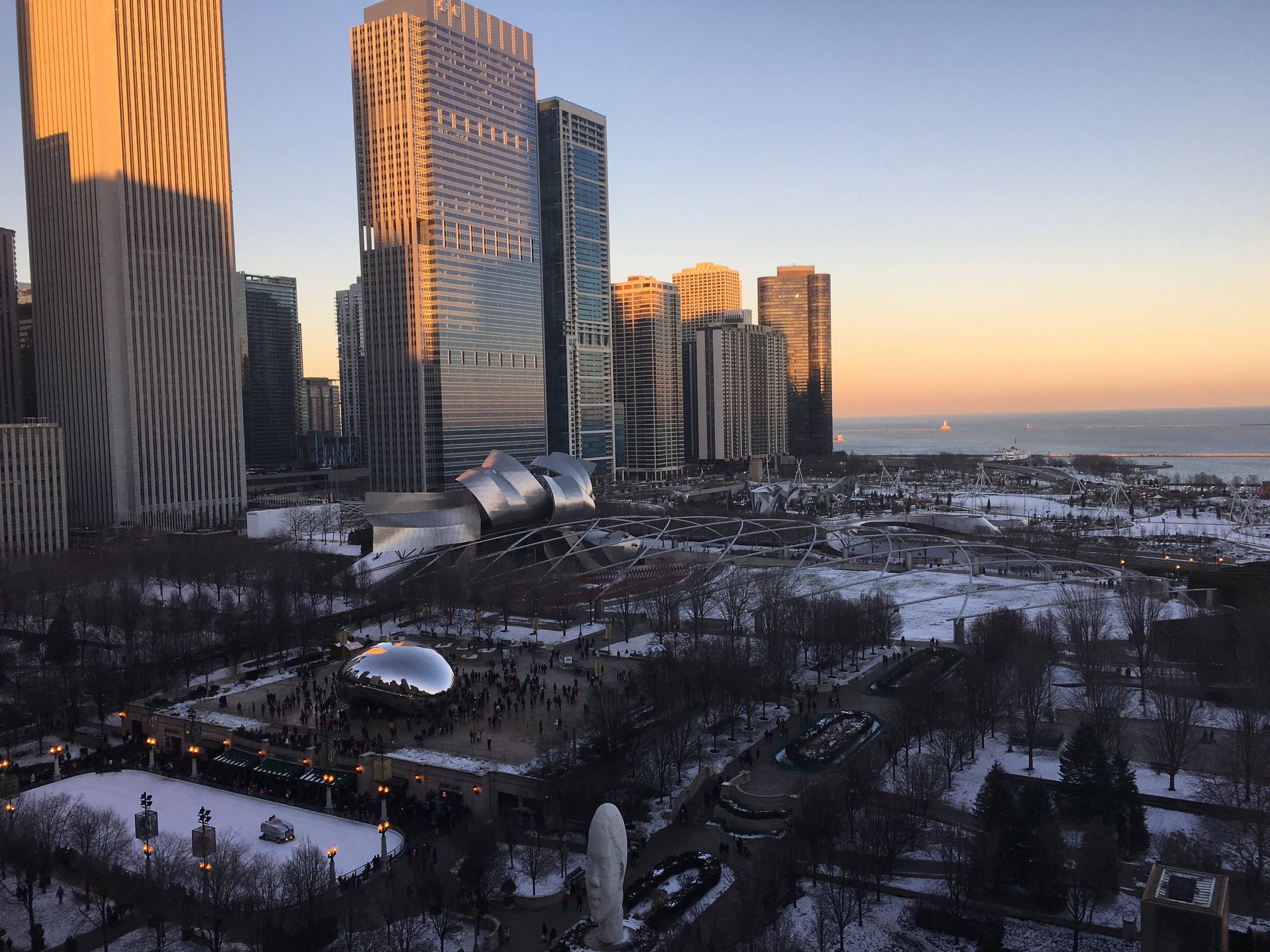 Millennium Park / Chicago / January / 2016