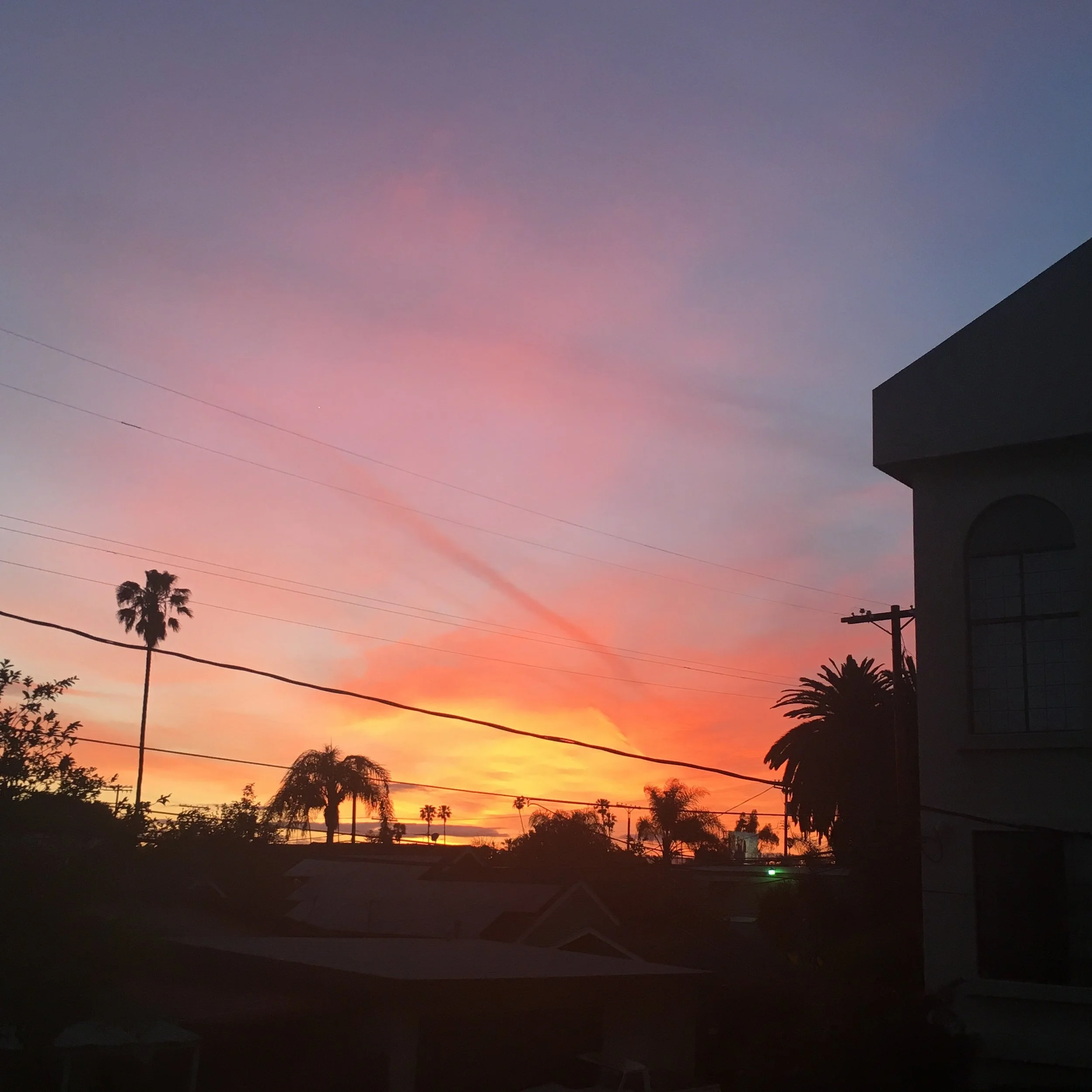 Mar Vista / CA / April / 2016