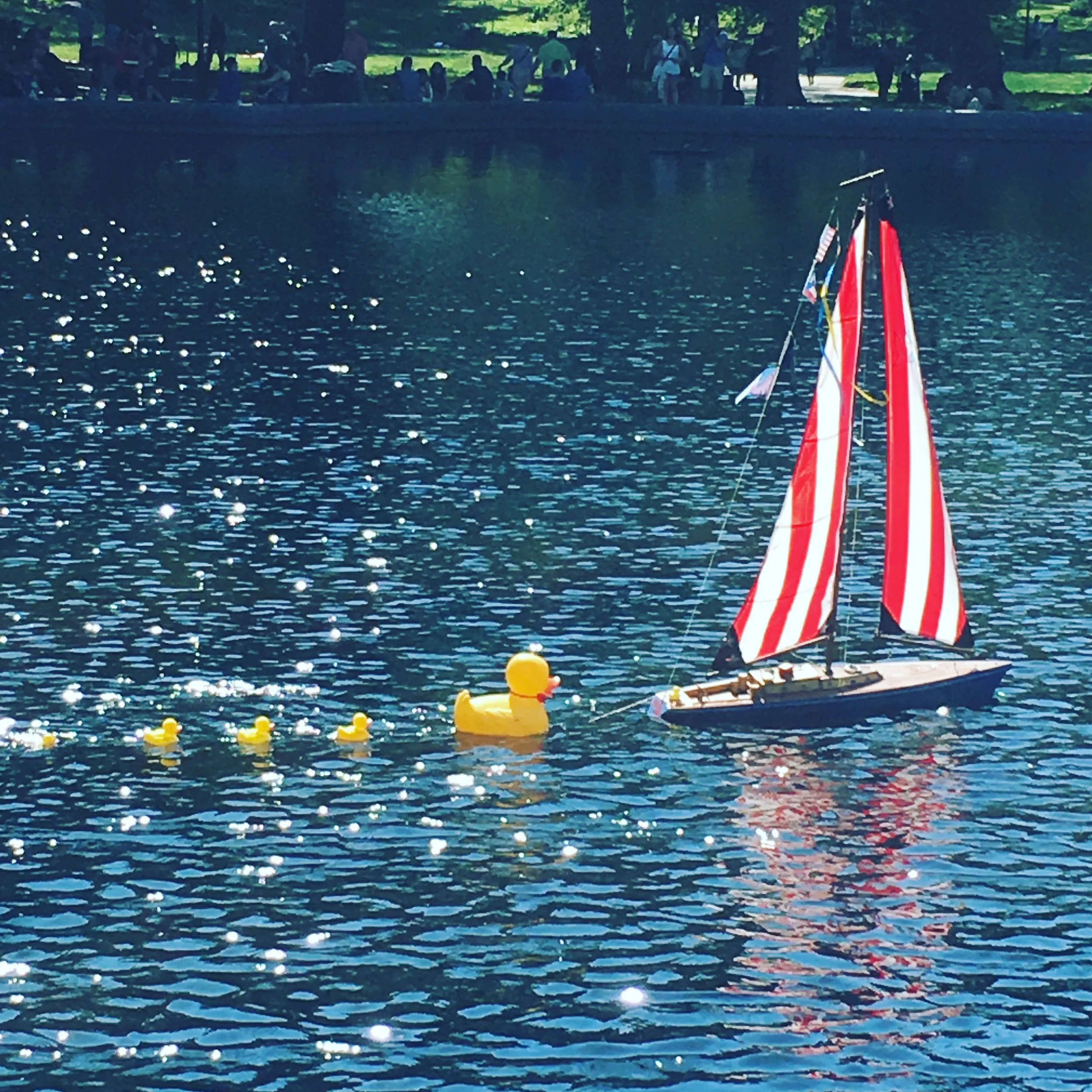 The Pond / Central Park / New York City