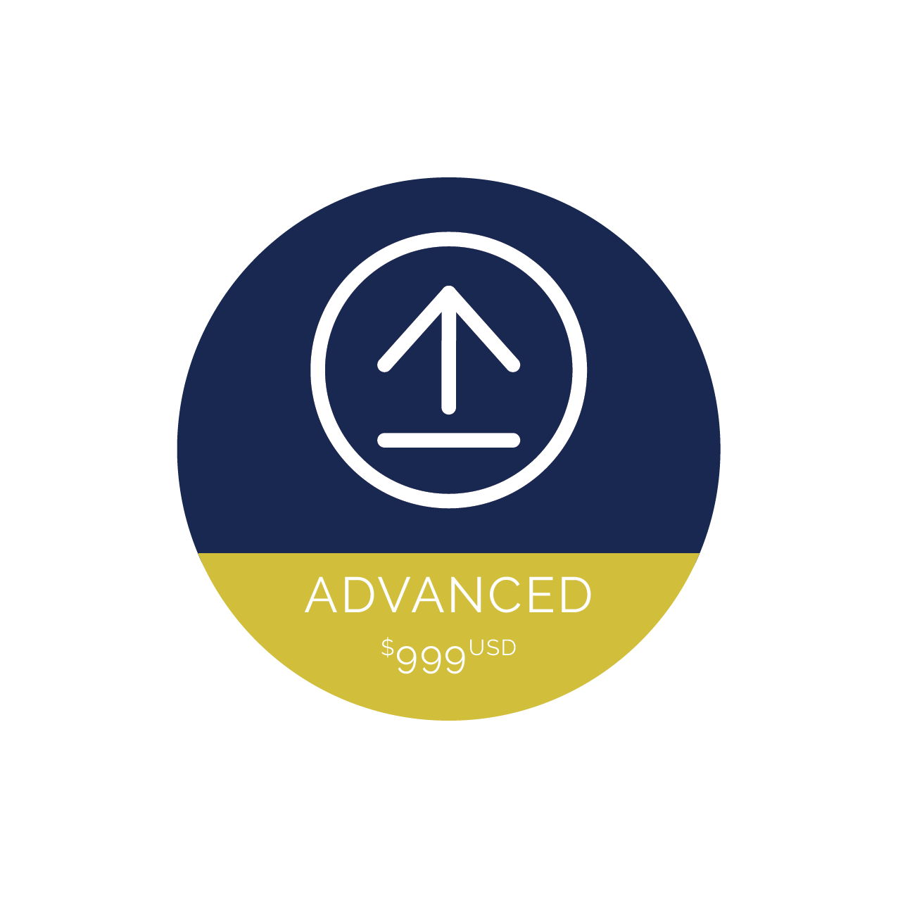 Squarespace Advanced SEO $999.00 USD