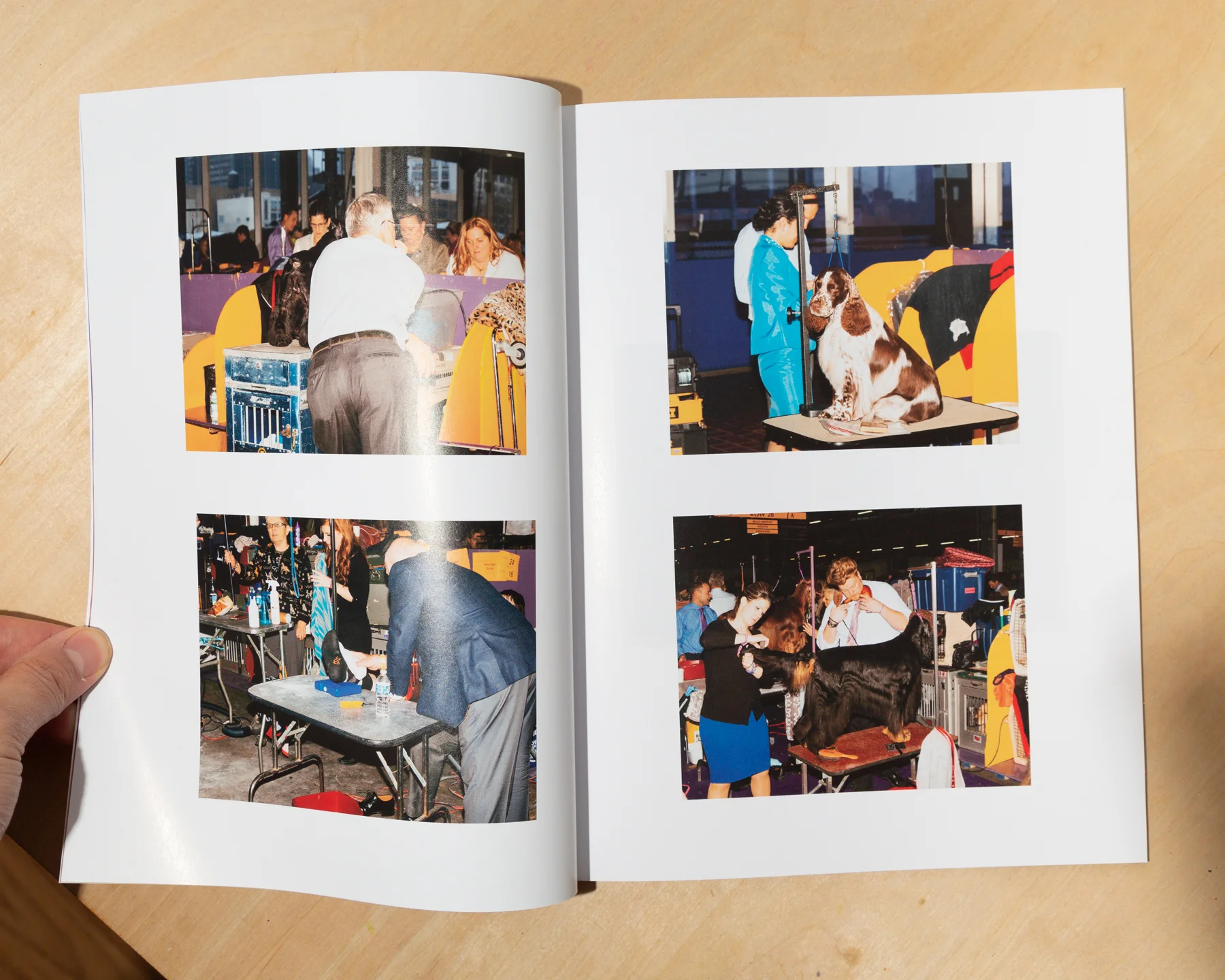 A 60 page magazine with images taken from 2014-2019 (except for 2018) at the Westminster Agility Championships and AKC Meet The Breeds event at Piers 92 & 94 in New York City