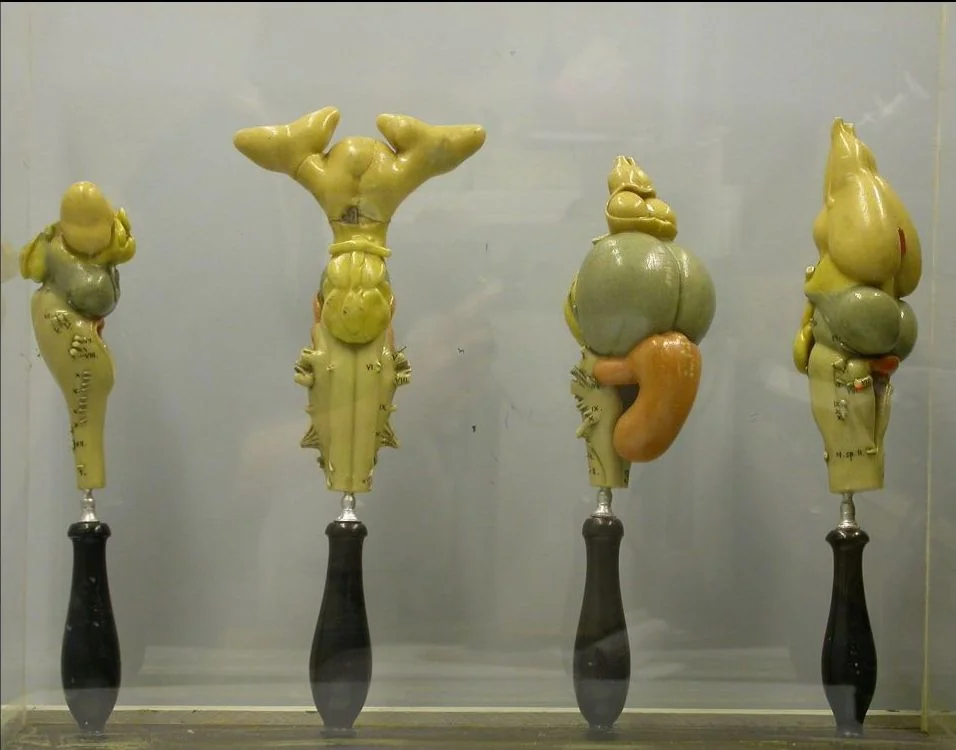 135813d.jpg