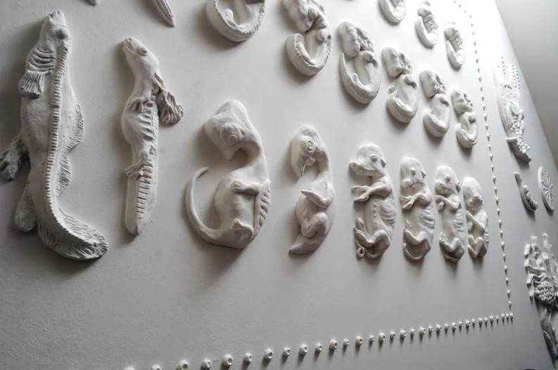 ART110633N.jpg