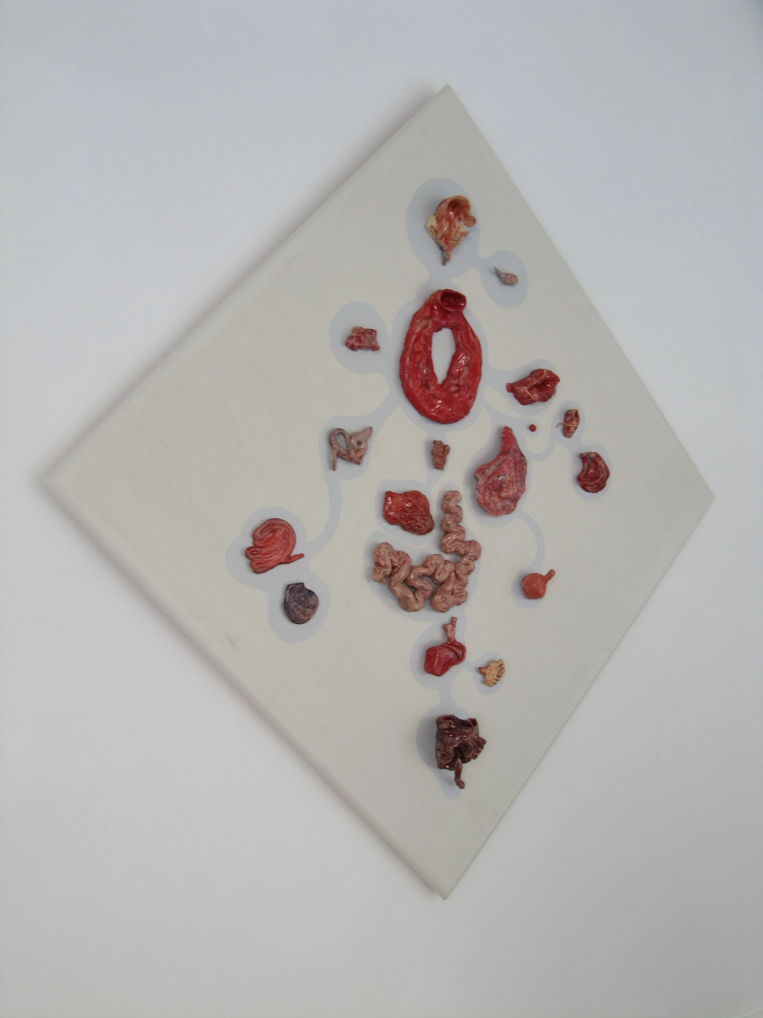 imaginary organs IMG_0386.JPG