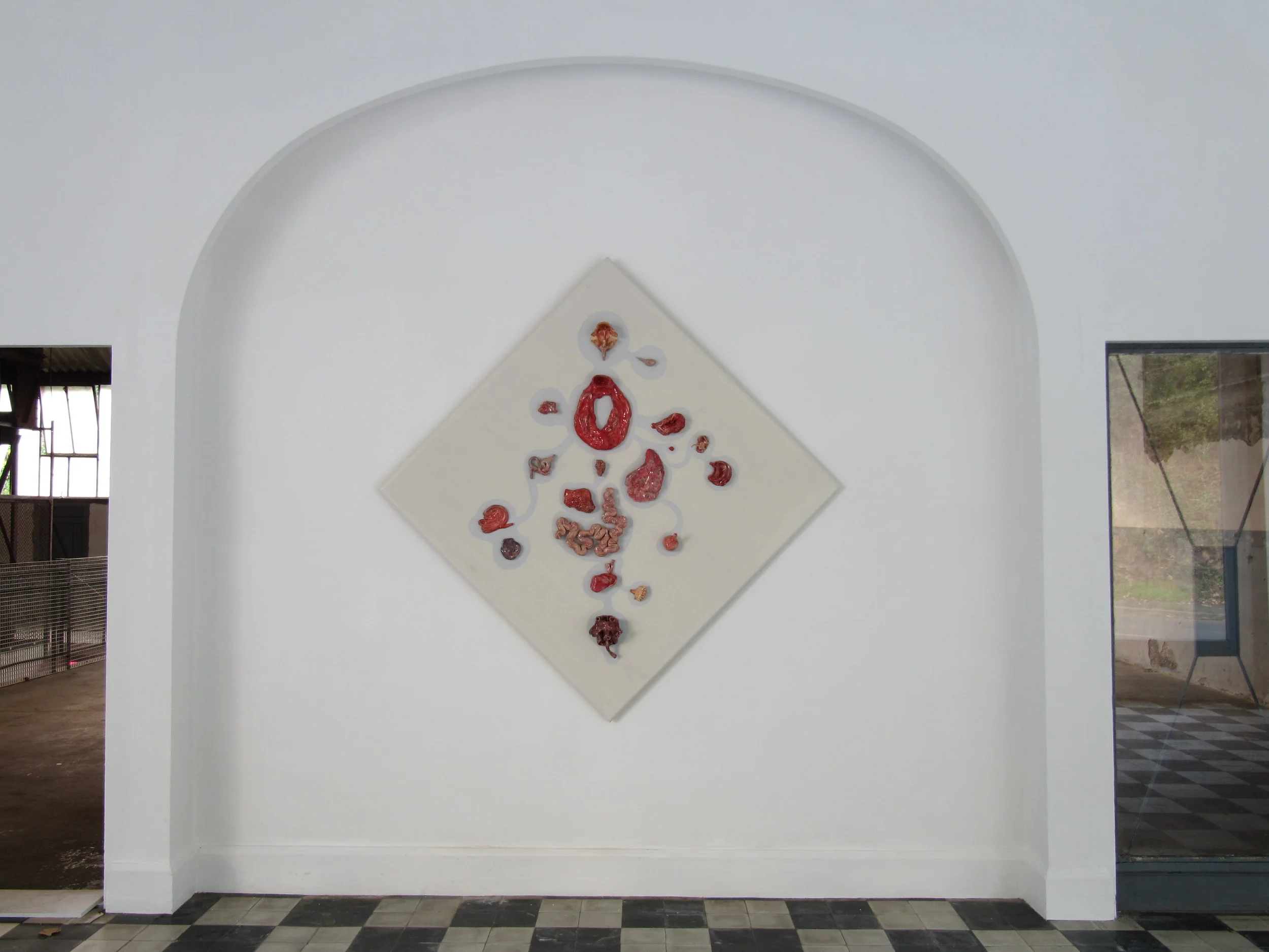 imaginary organs IMG_0382.JPG