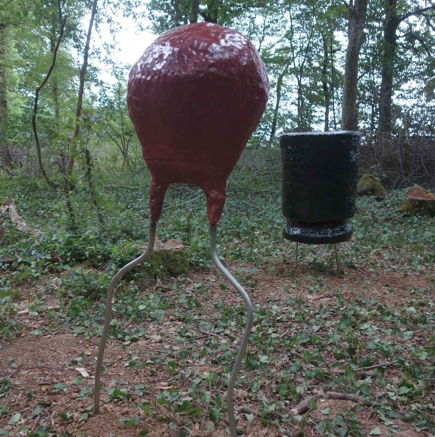 vdfDSC04743.jpg