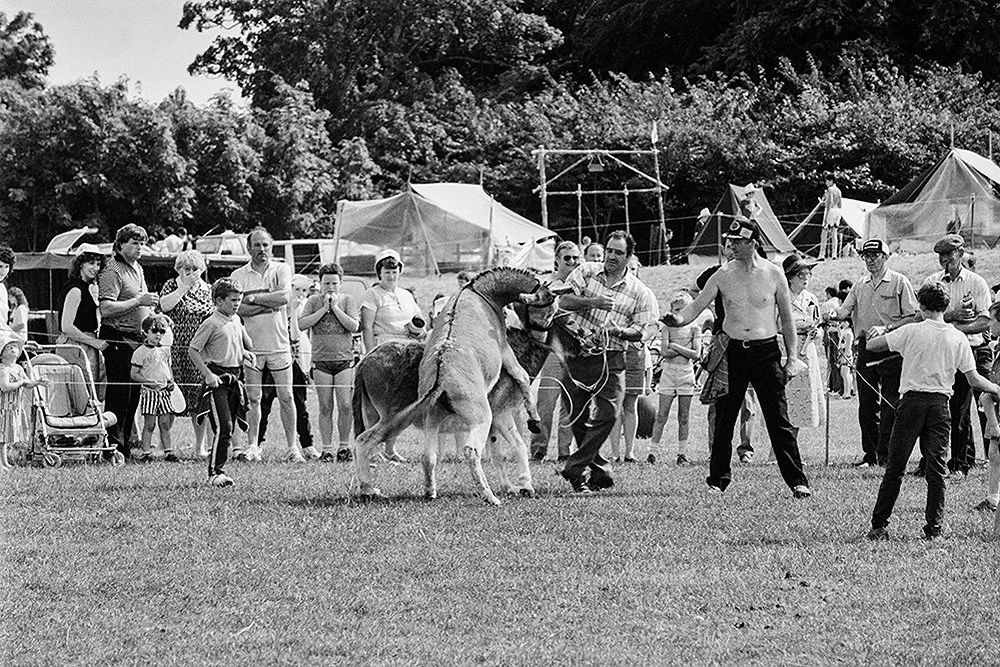 Chick Gillen and donkeys.jpg