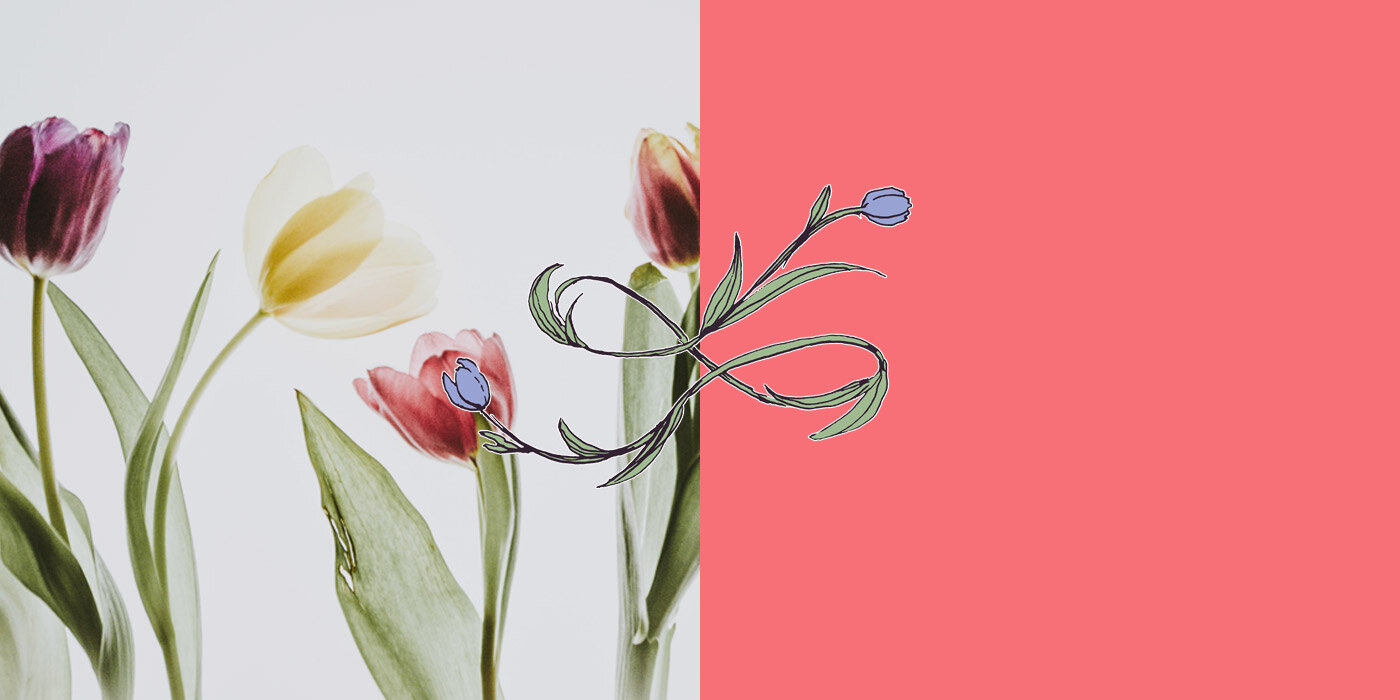 Tuli-Hoops — Loopy Tulip Designs